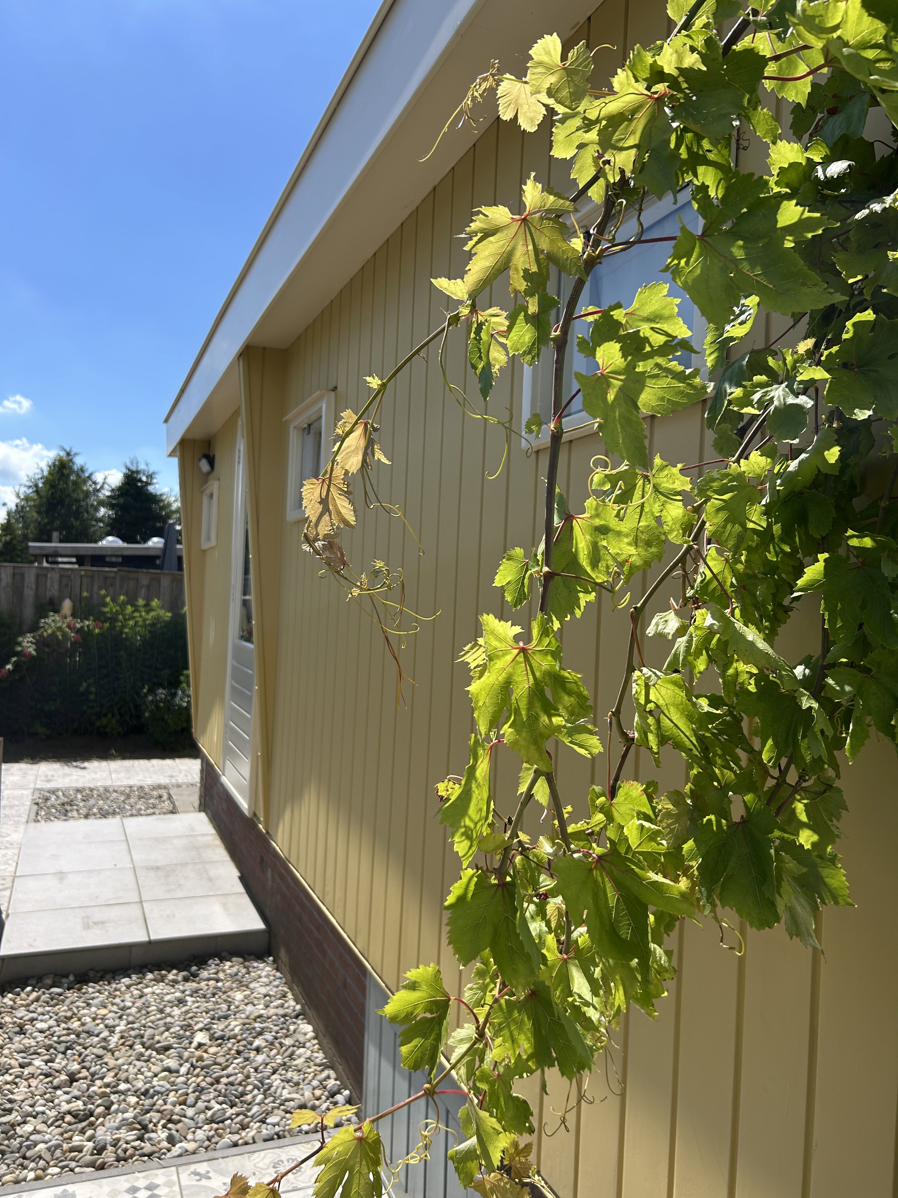 Casa nella natura a IJsselmuiden