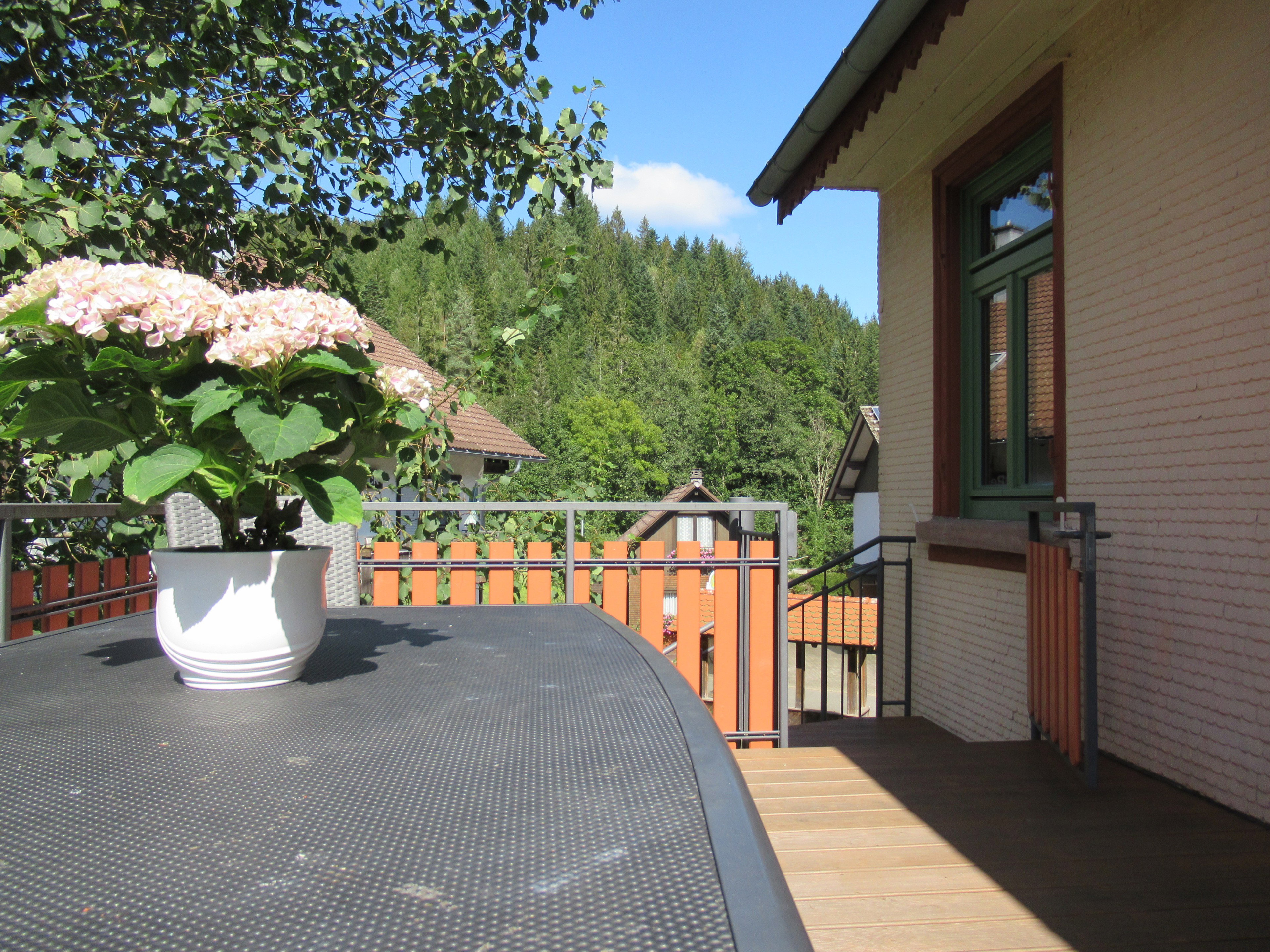 Natuurhuisje in Baiersbronn