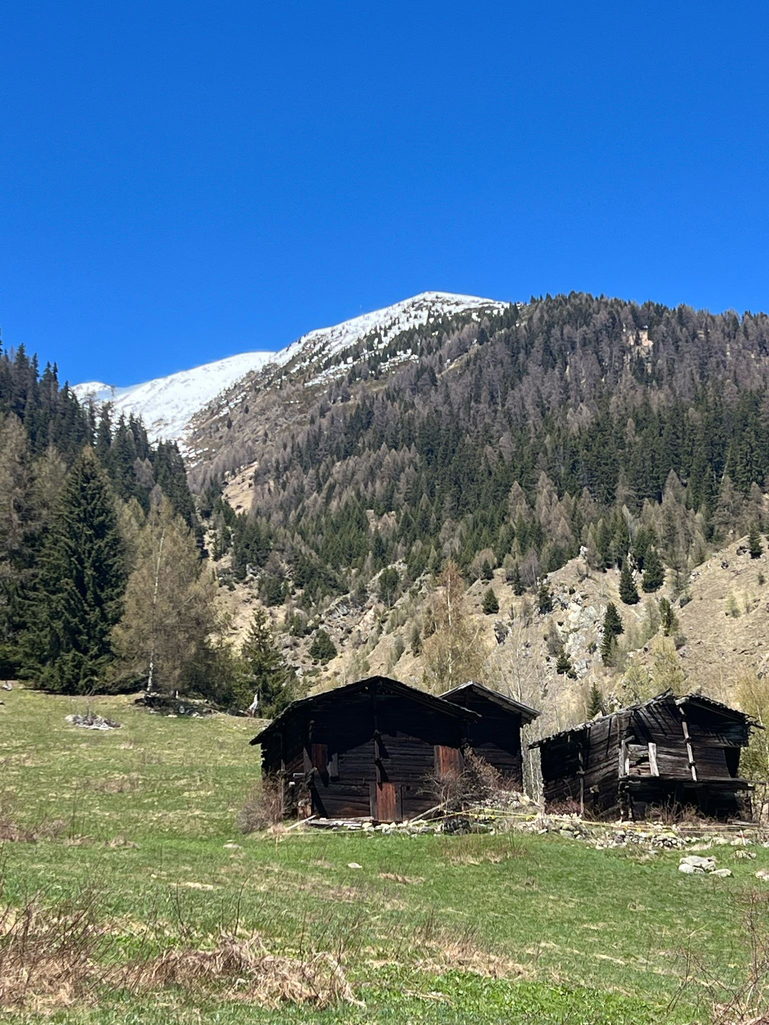 - image: 18