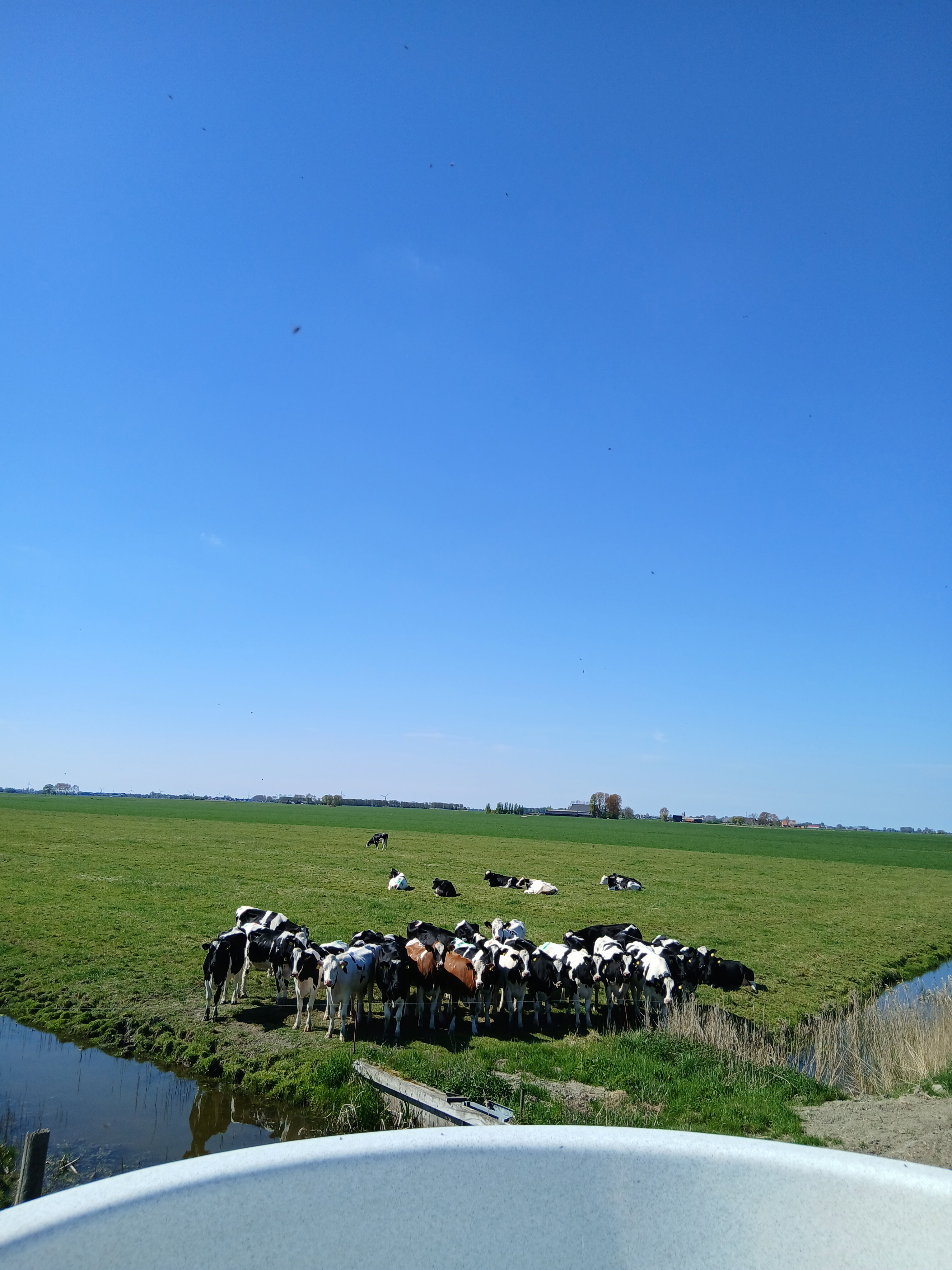 Natuurhuisje in Jislum