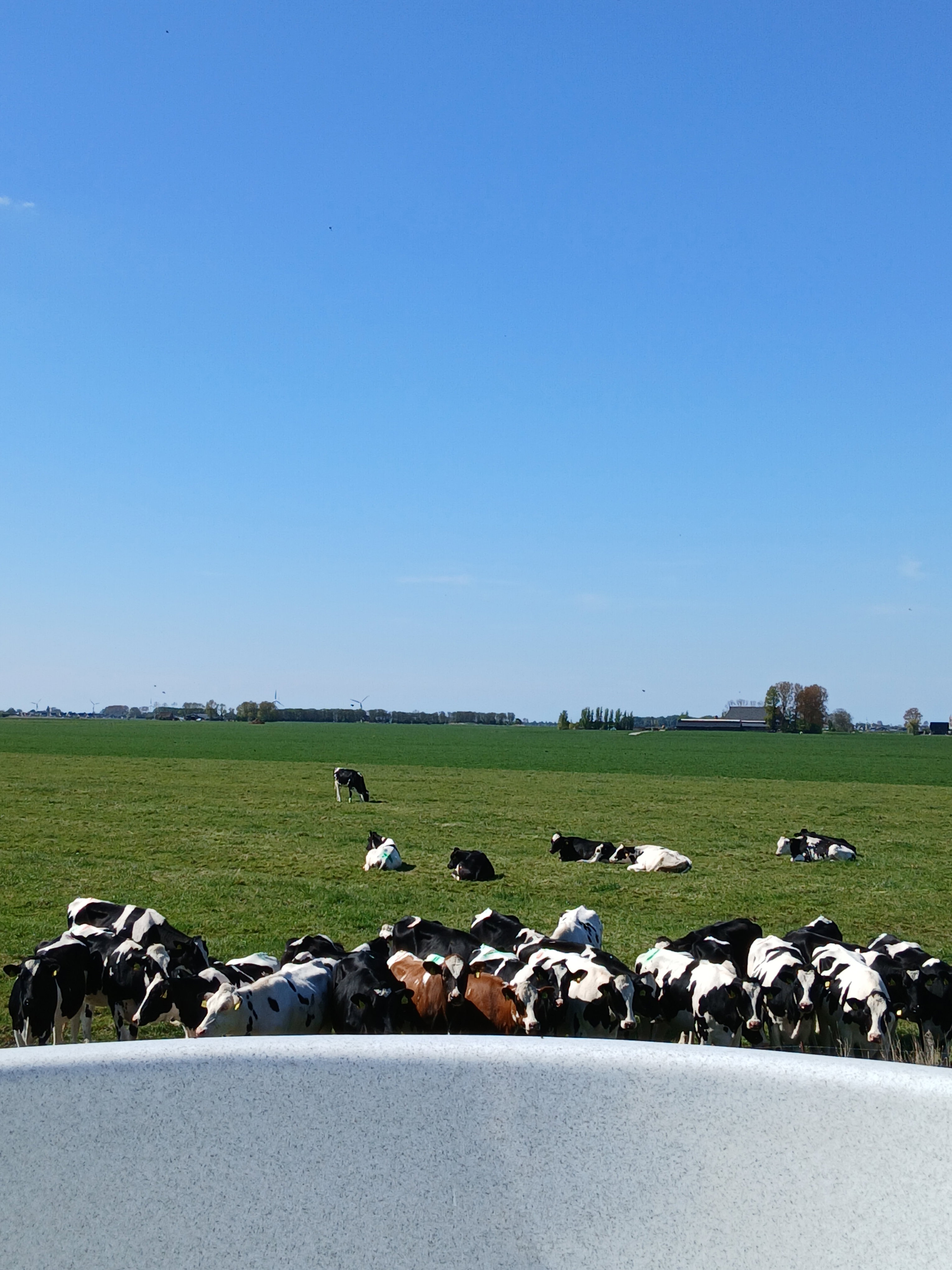 Natuurhuisje in Jislum