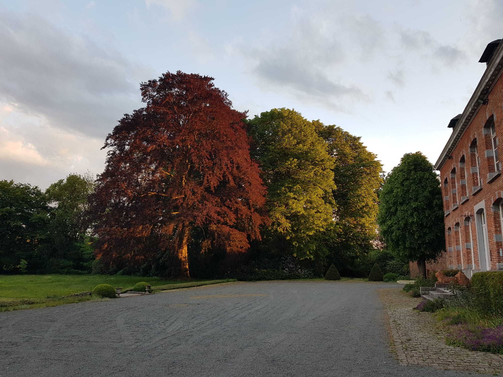 Natuurhuisje in Sars-la-Bruyère