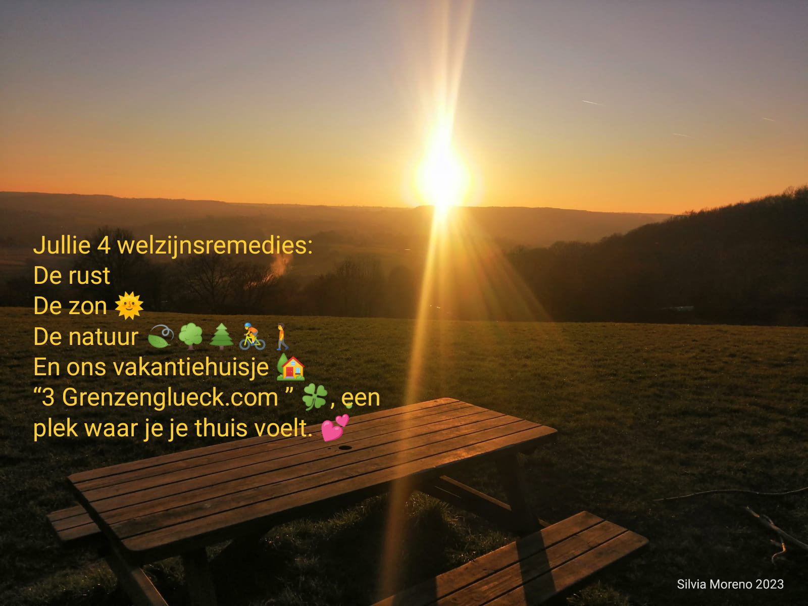 - image: 12