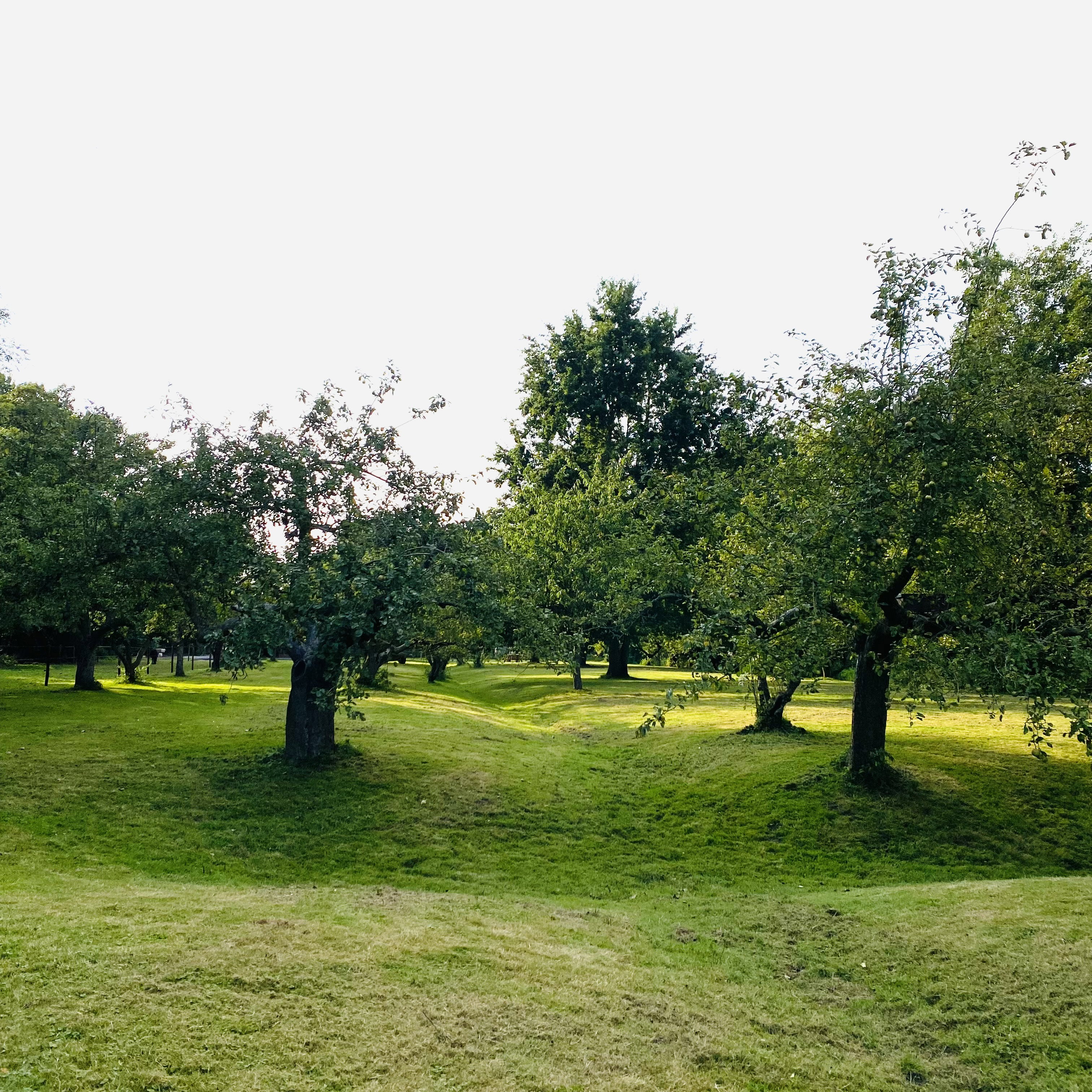 Natuurhuisje in Nieuwe Niedorp