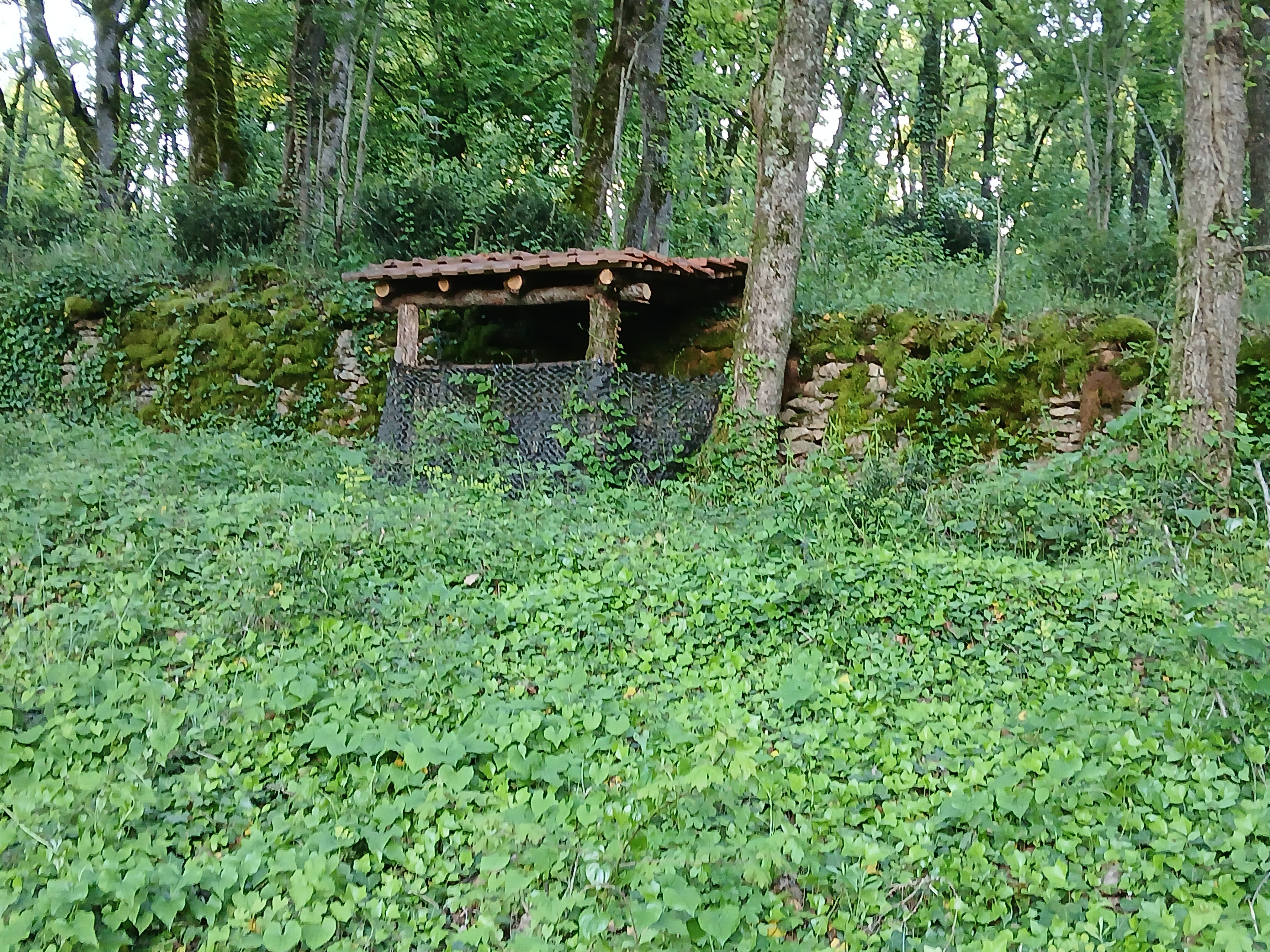 - image: 18