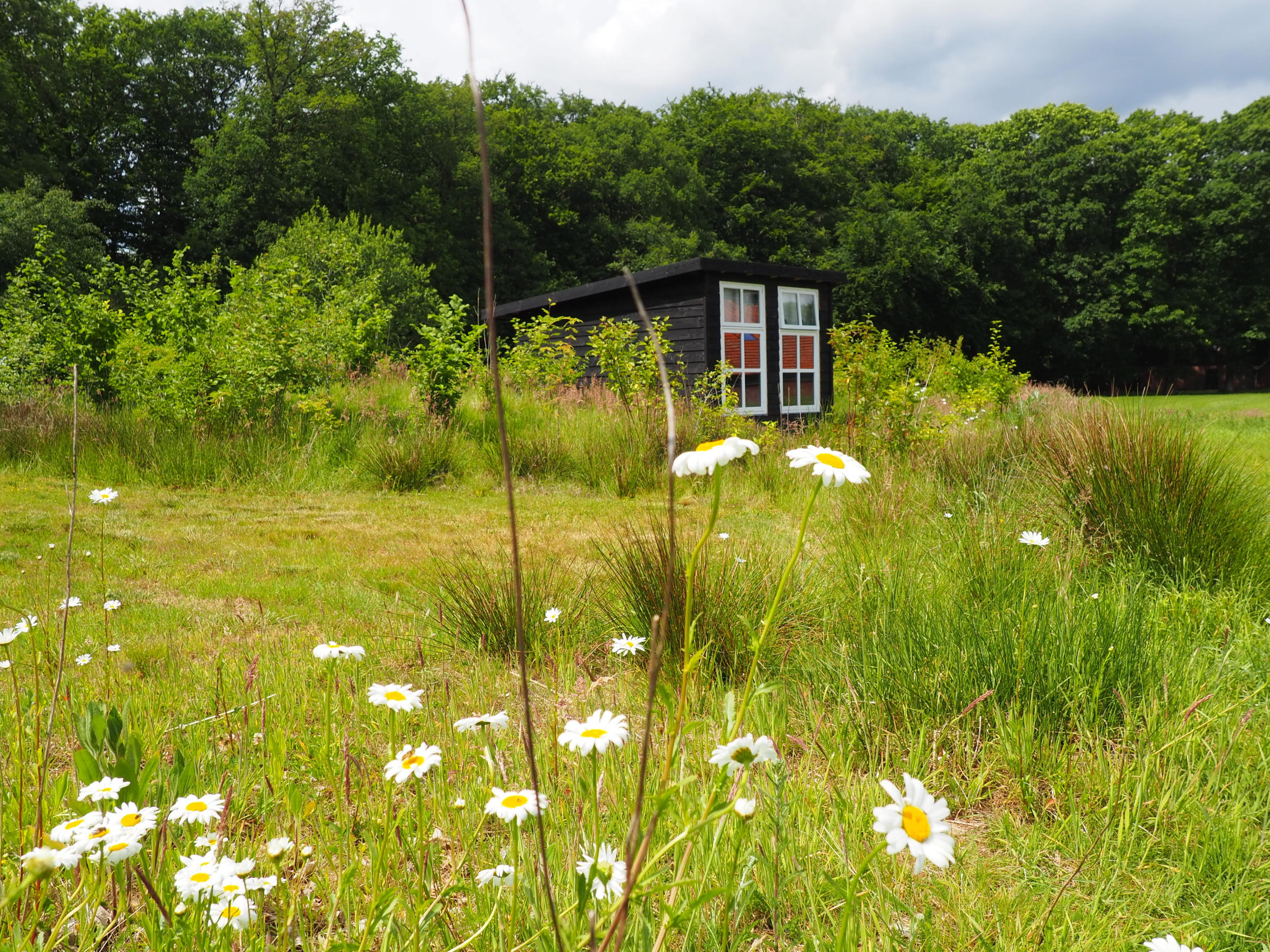 Natuurhuisje in Hezingen