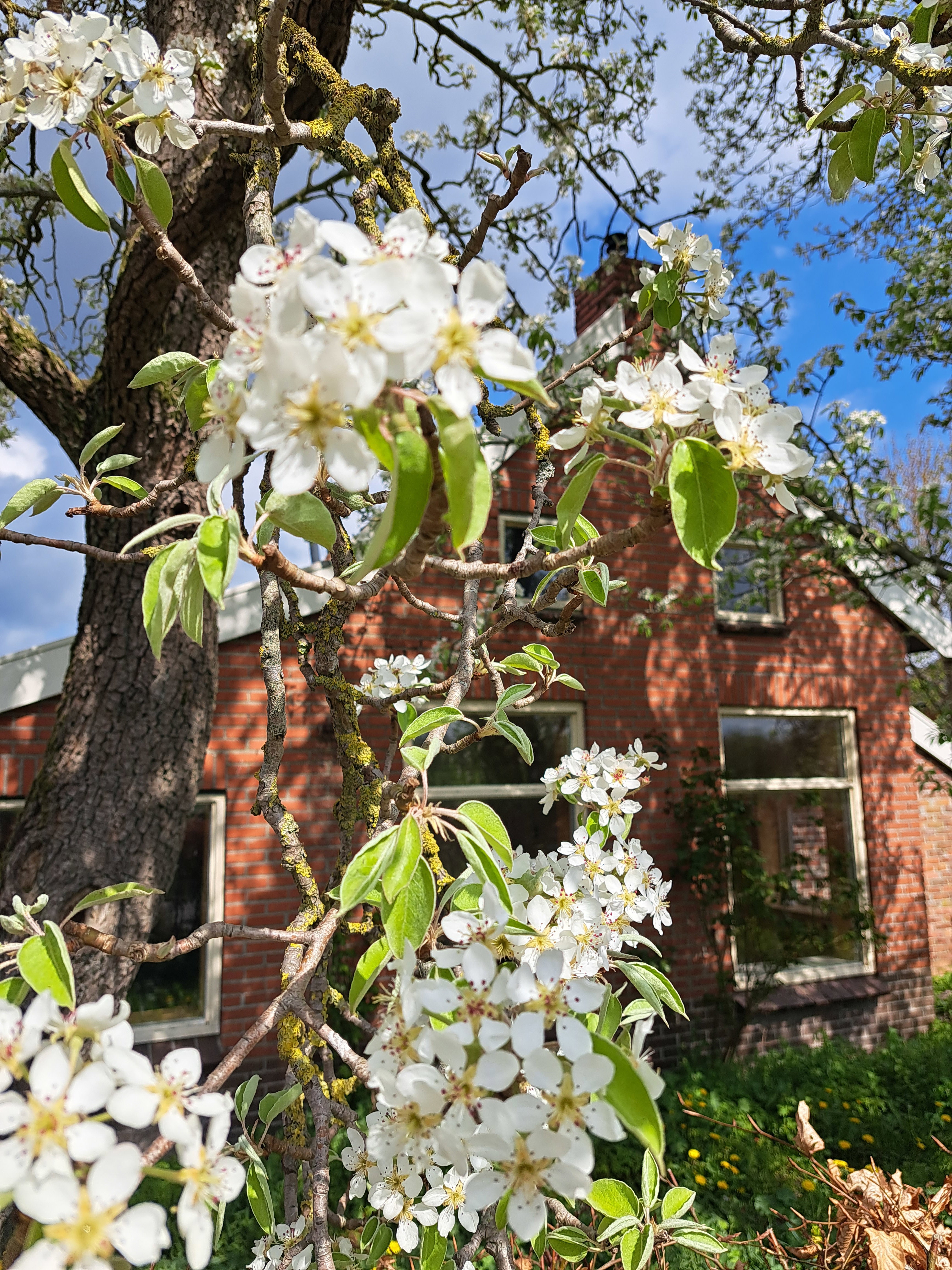 Casa nella natura a Oostwold (gem. Oldambt)