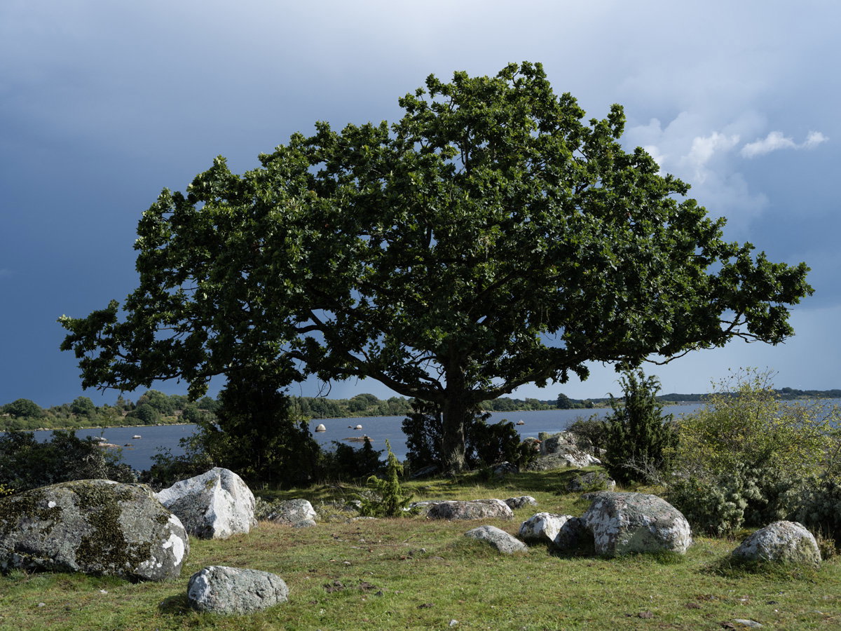 - image: 62