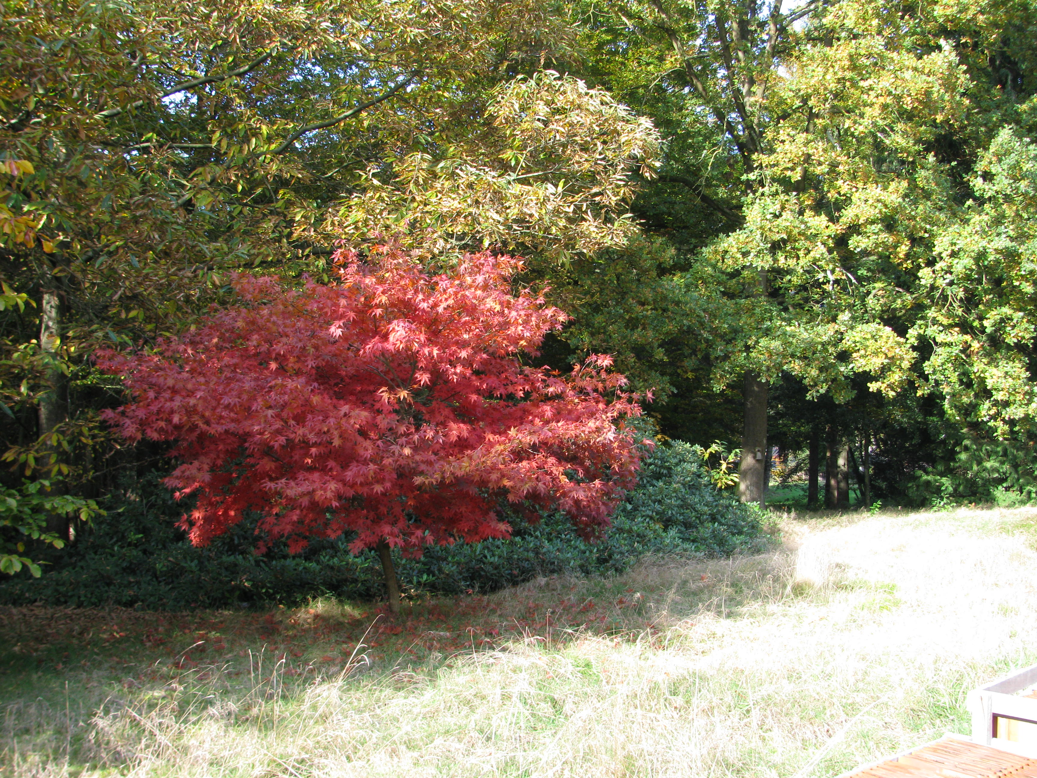 Nature house in Zelhem