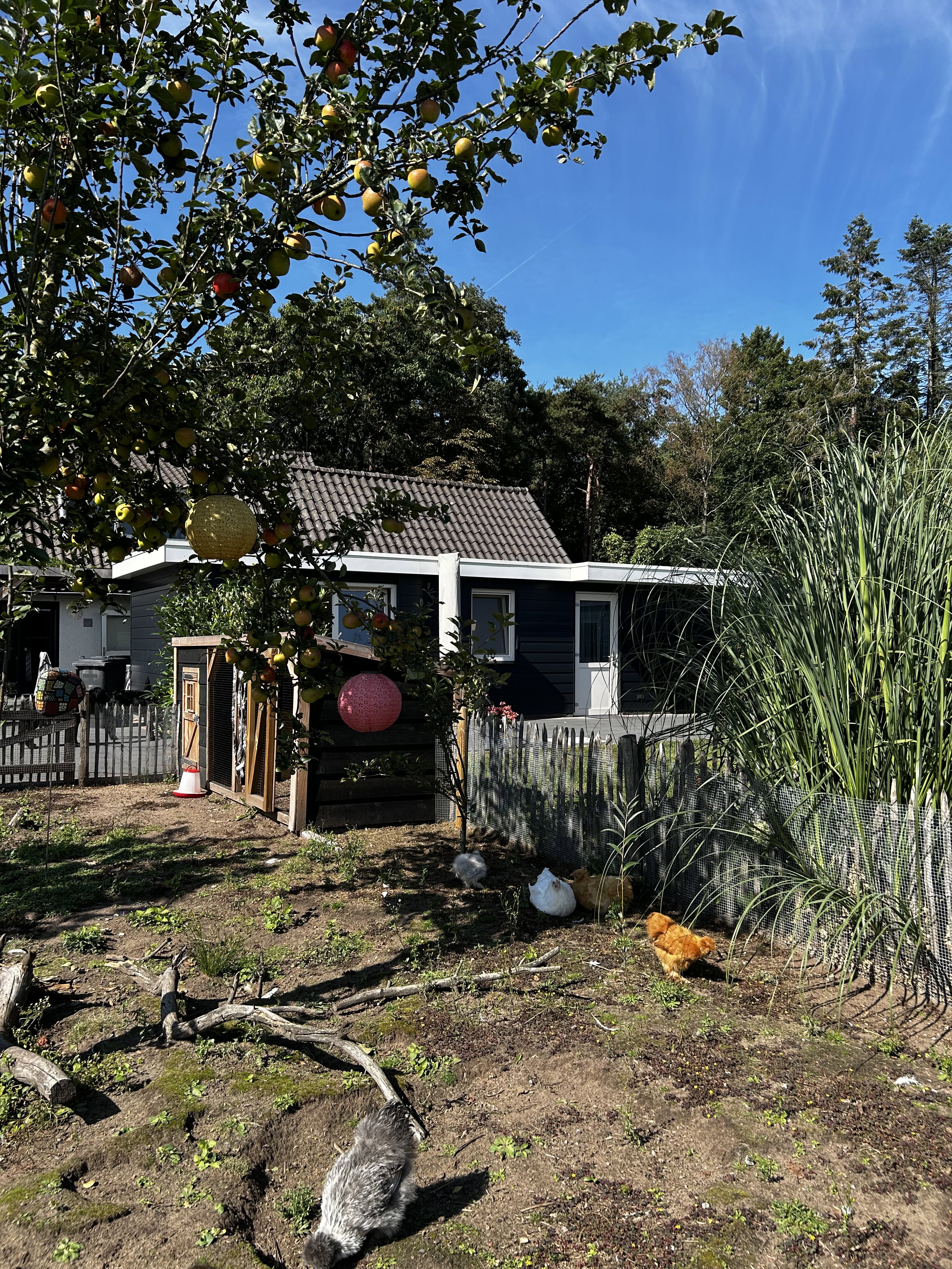Natuurhuisje in Haaksbergen