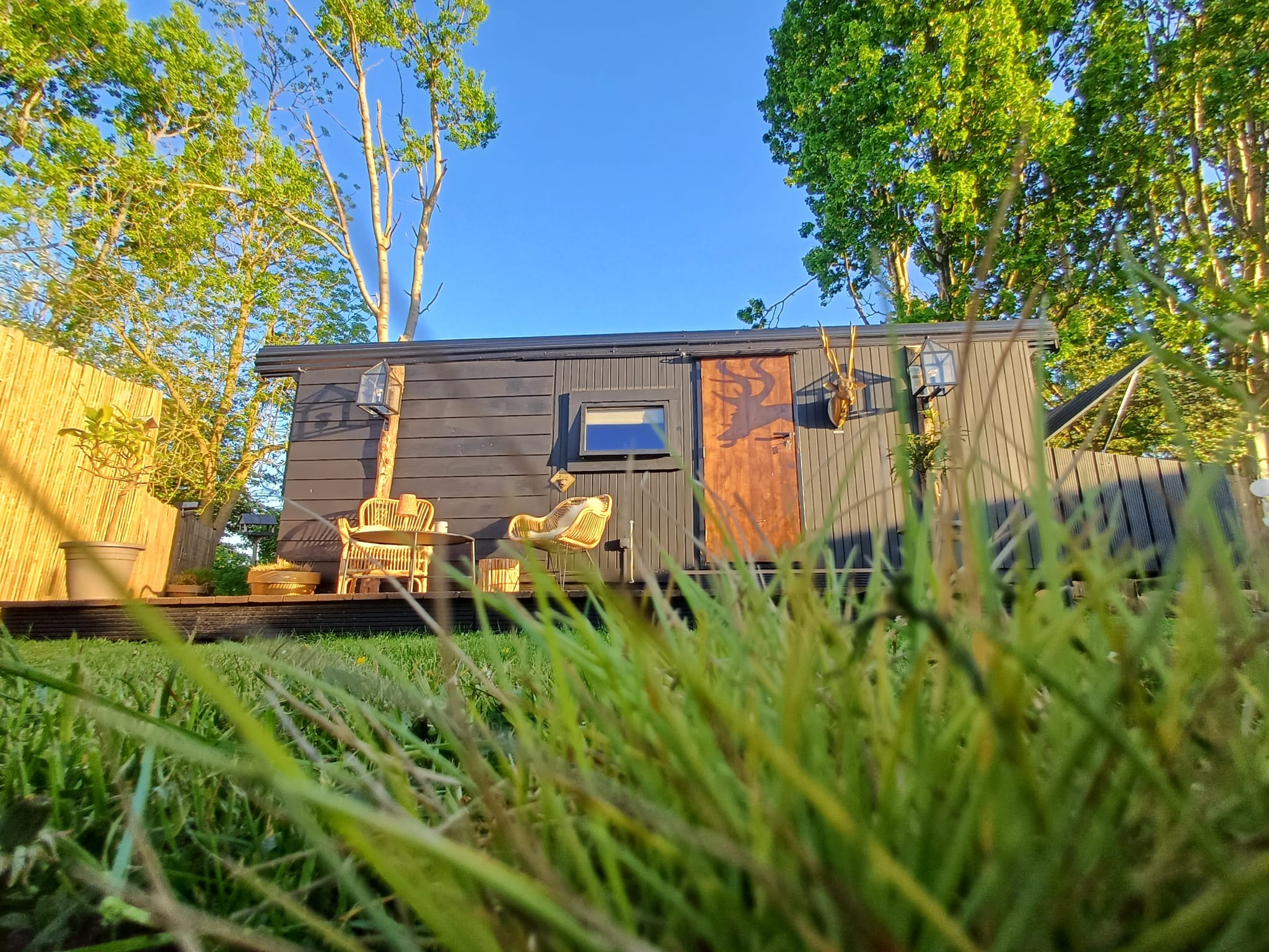 Casa nella natura a Vroomshoop
