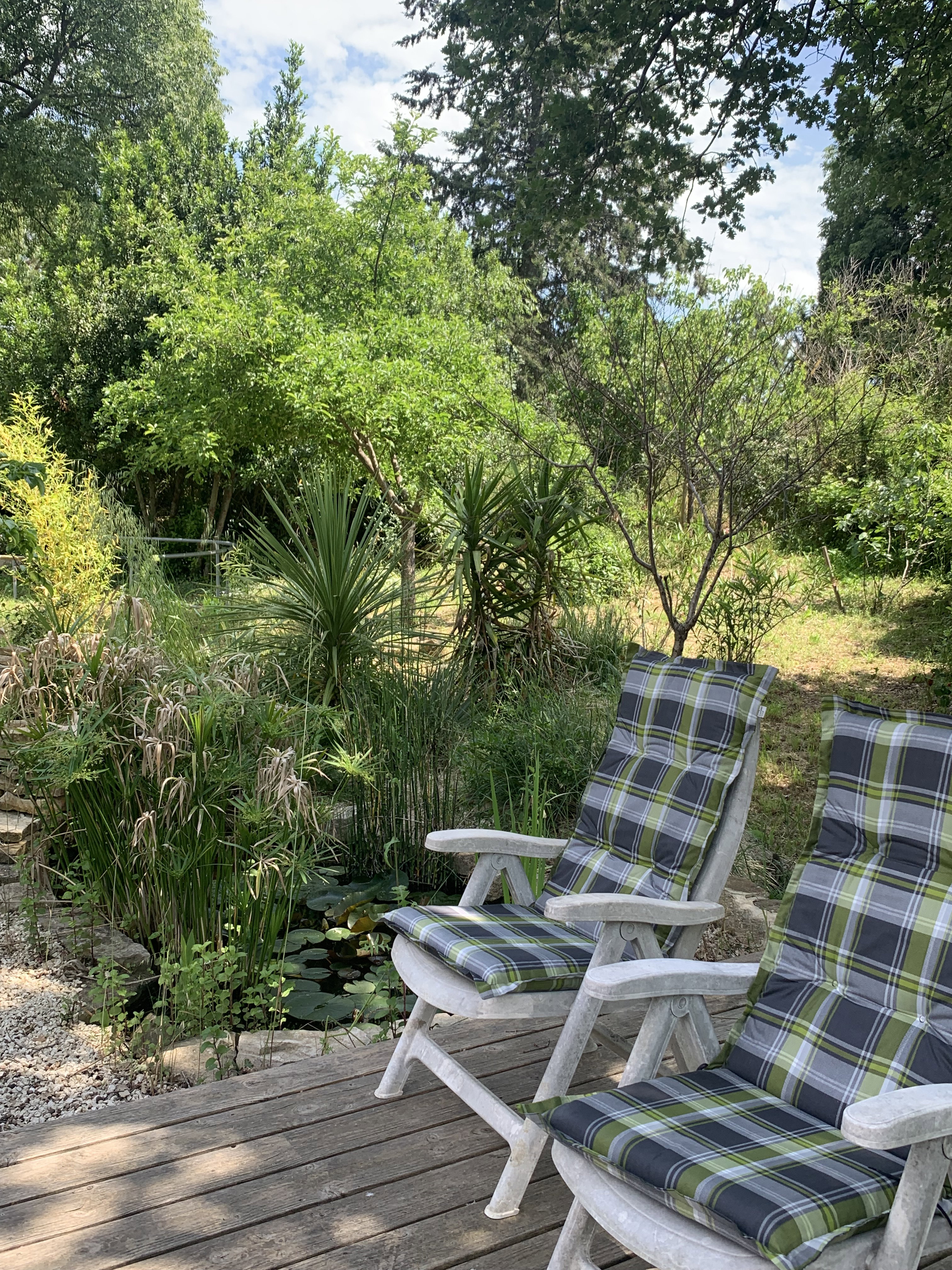 Natuurhuisje in Saint Cesaire de Gauzignan