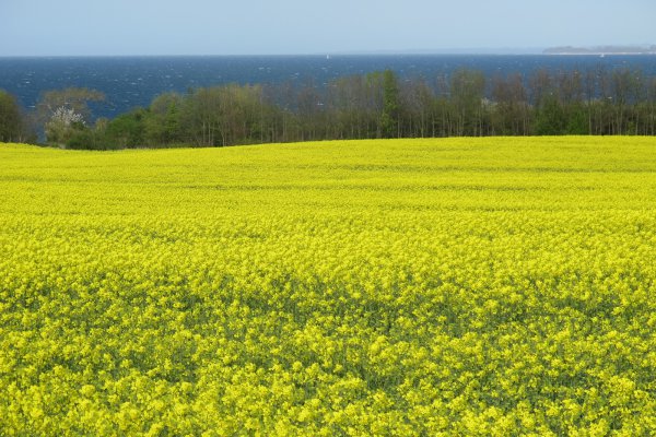 Natuurhuisje in Tressow