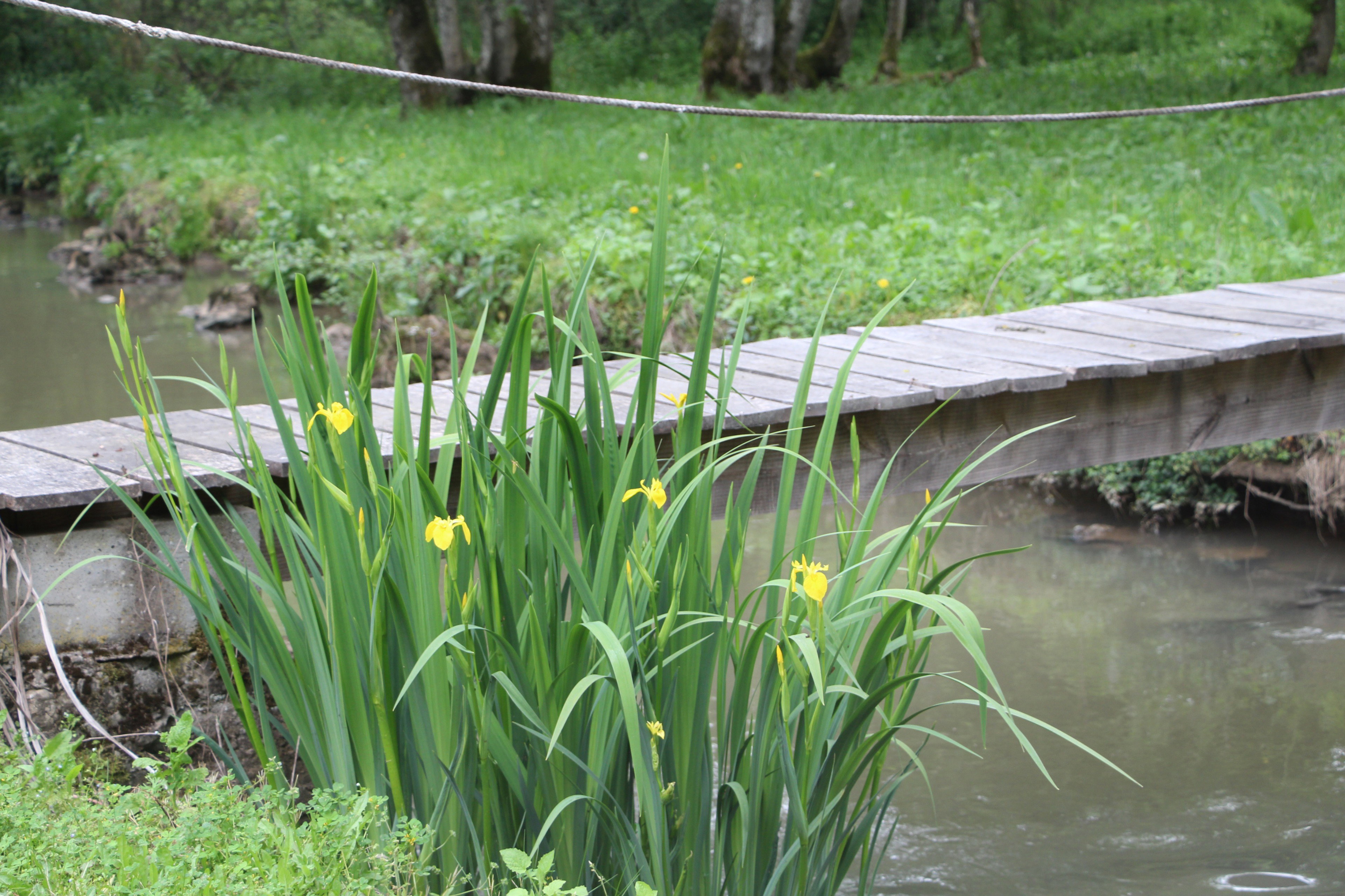 Nature house in Mont-et-Marré