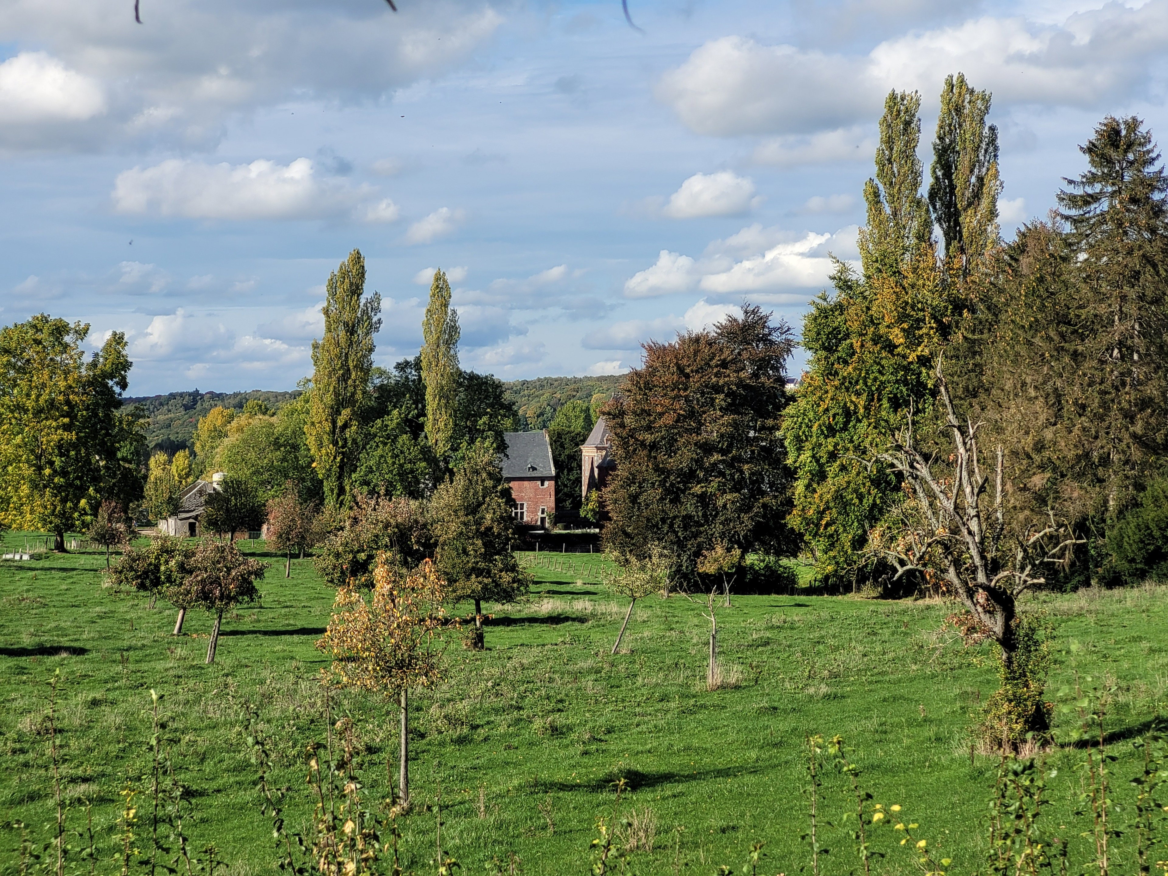 - image: 26