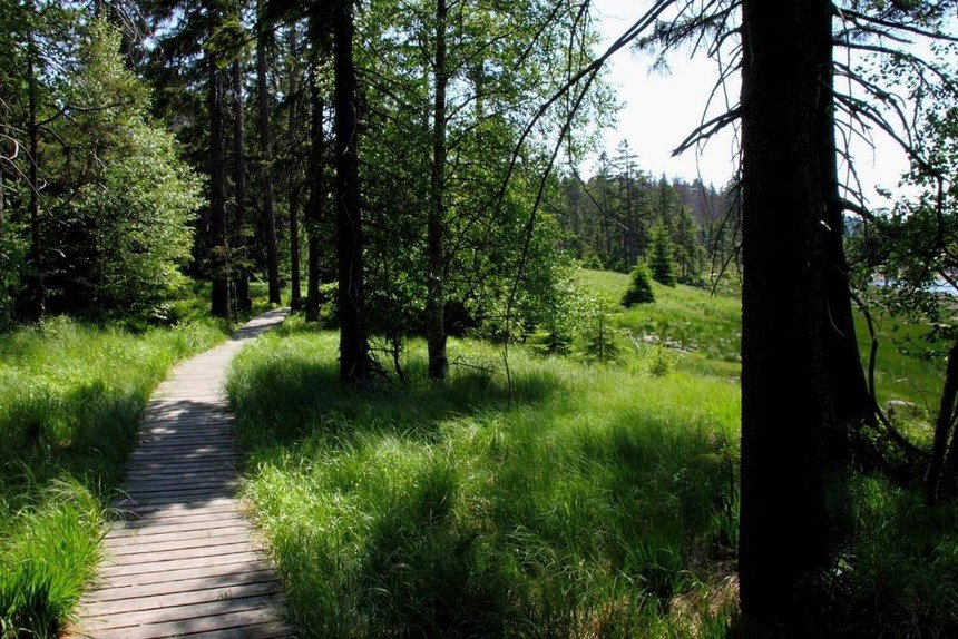- image: 25