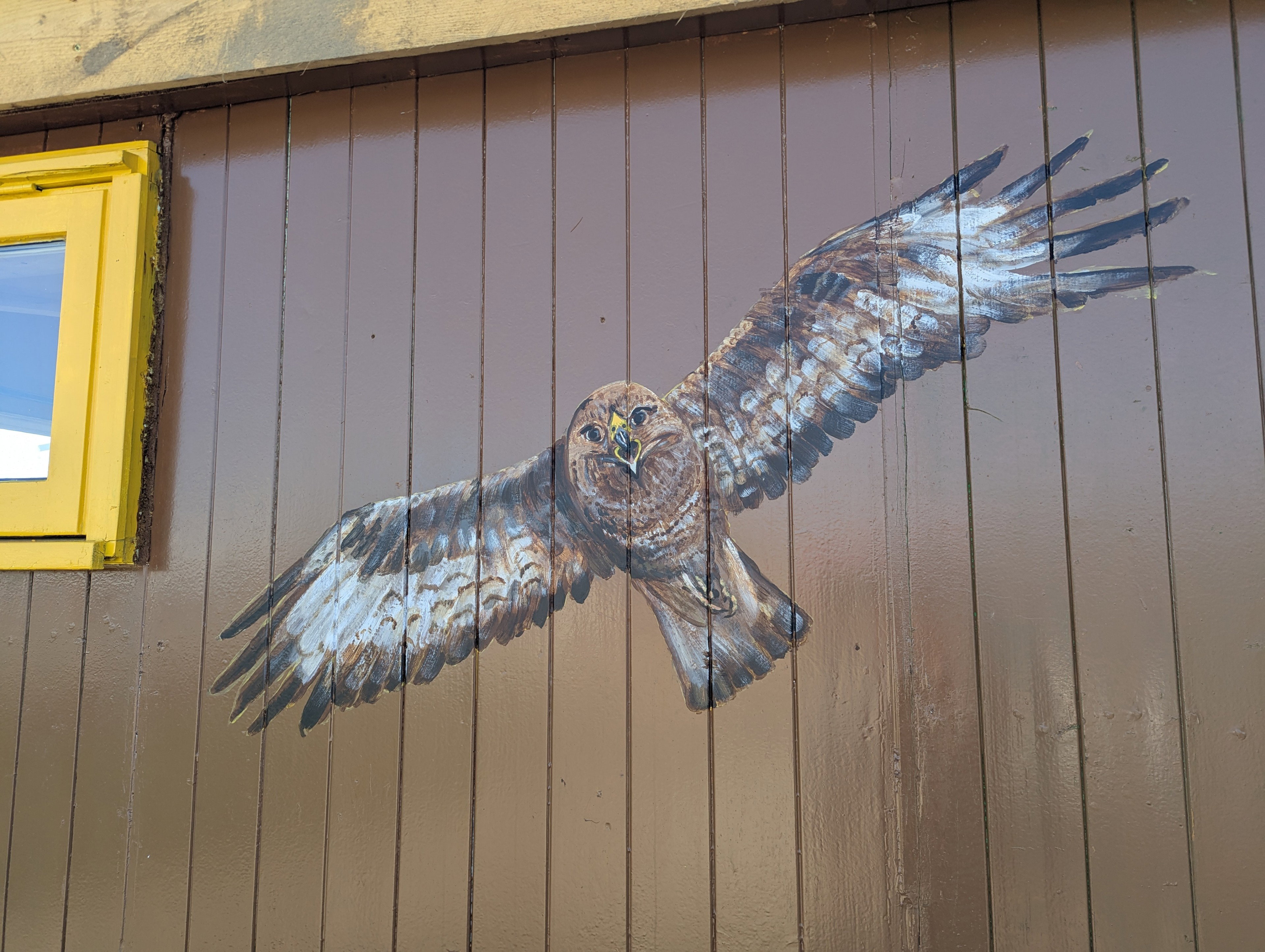 Nature house in Beverwijk