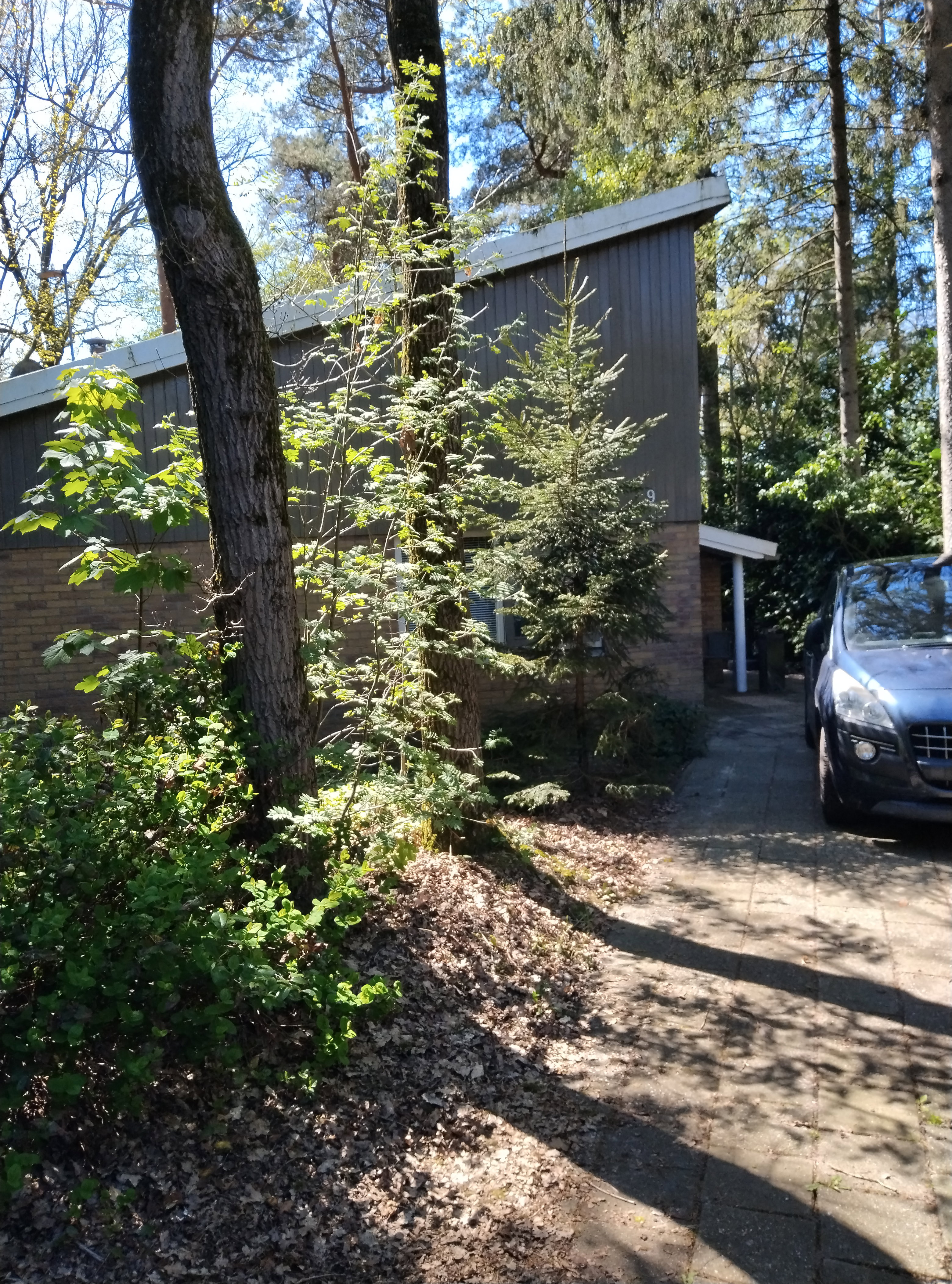 Natuurhuisje in Rheezerveen