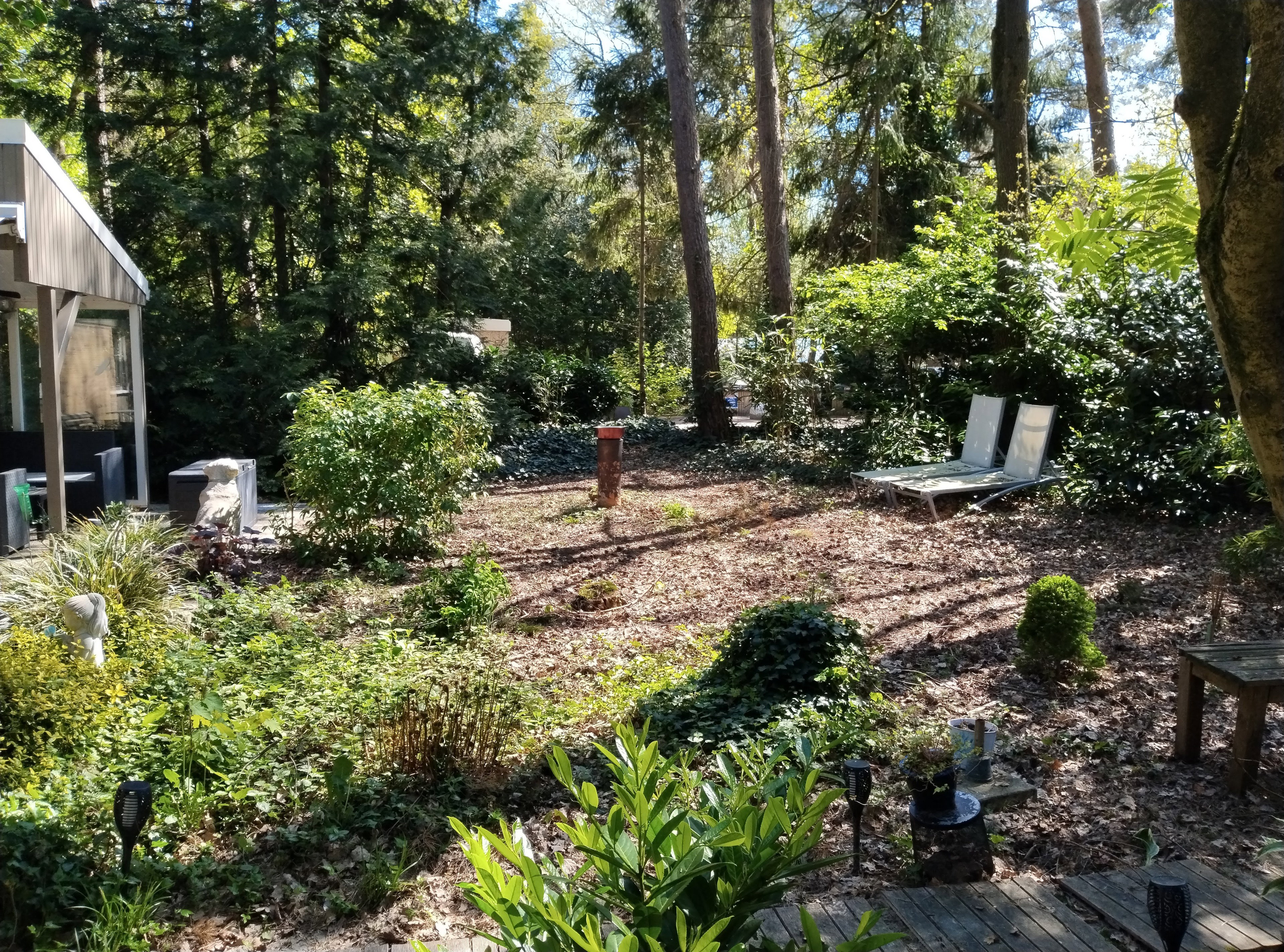 Natuurhuisje in Rheezerveen