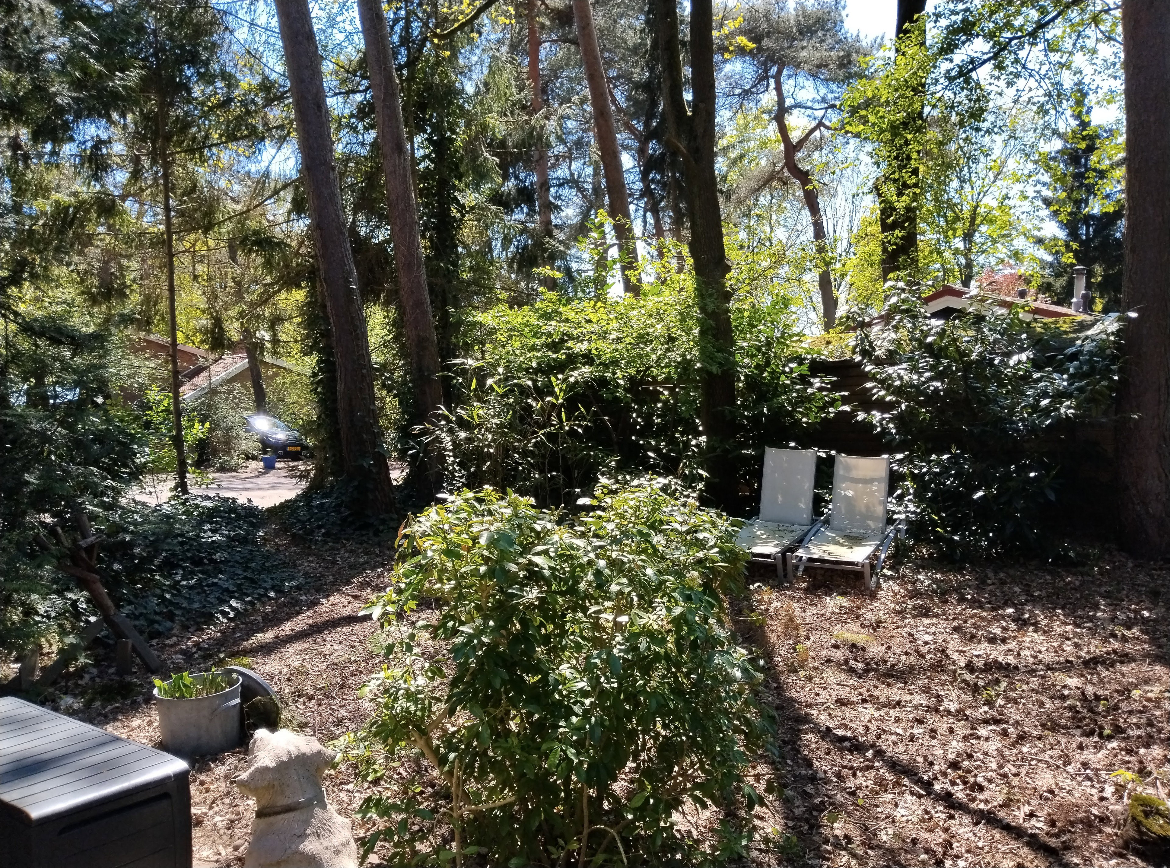 Natuurhuisje in Rheezerveen