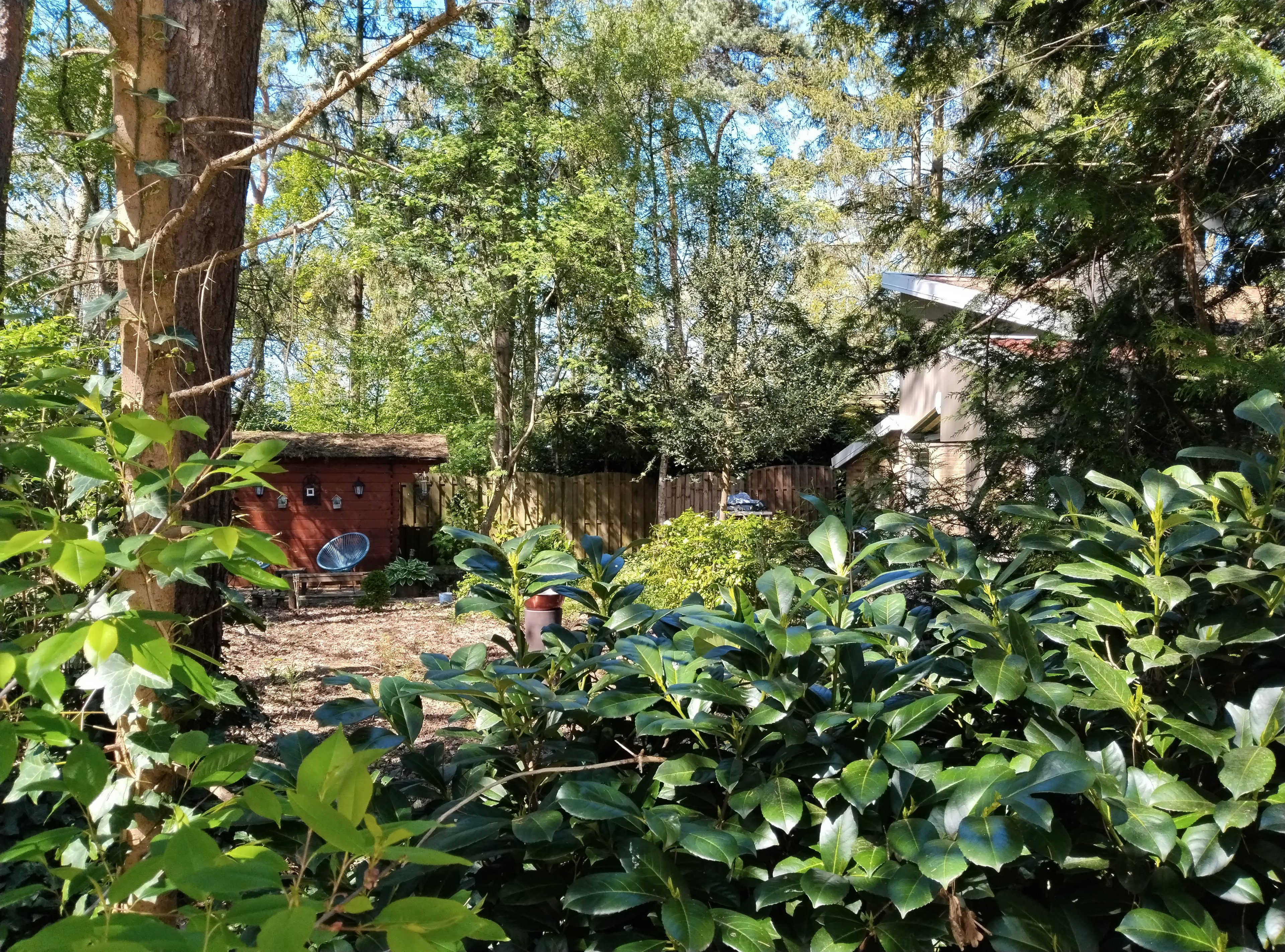 Natuurhuisje in Rheezerveen