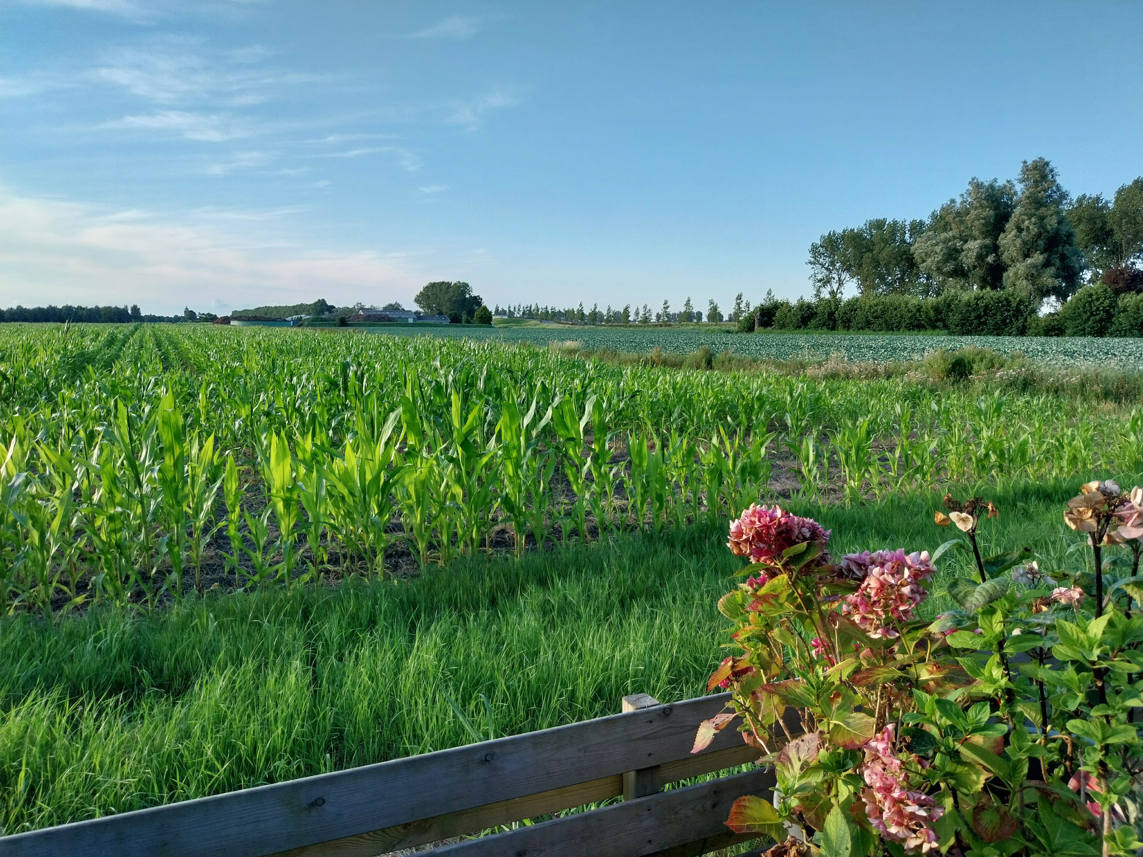 Natuurhuisje in Hem