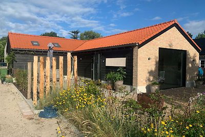 Casa nella natura a Burgh-Haamstede