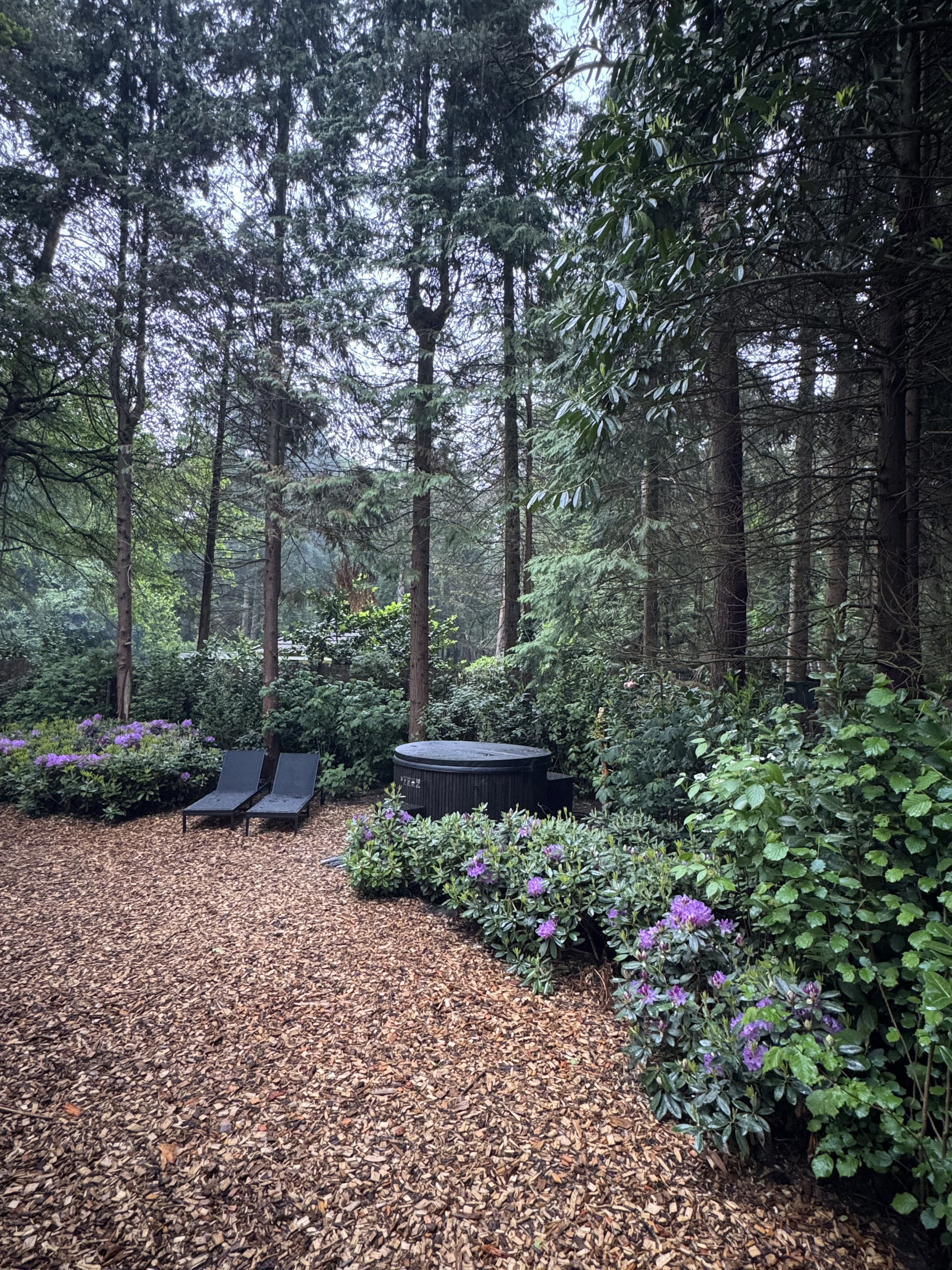 Natuurhuisje in Norg