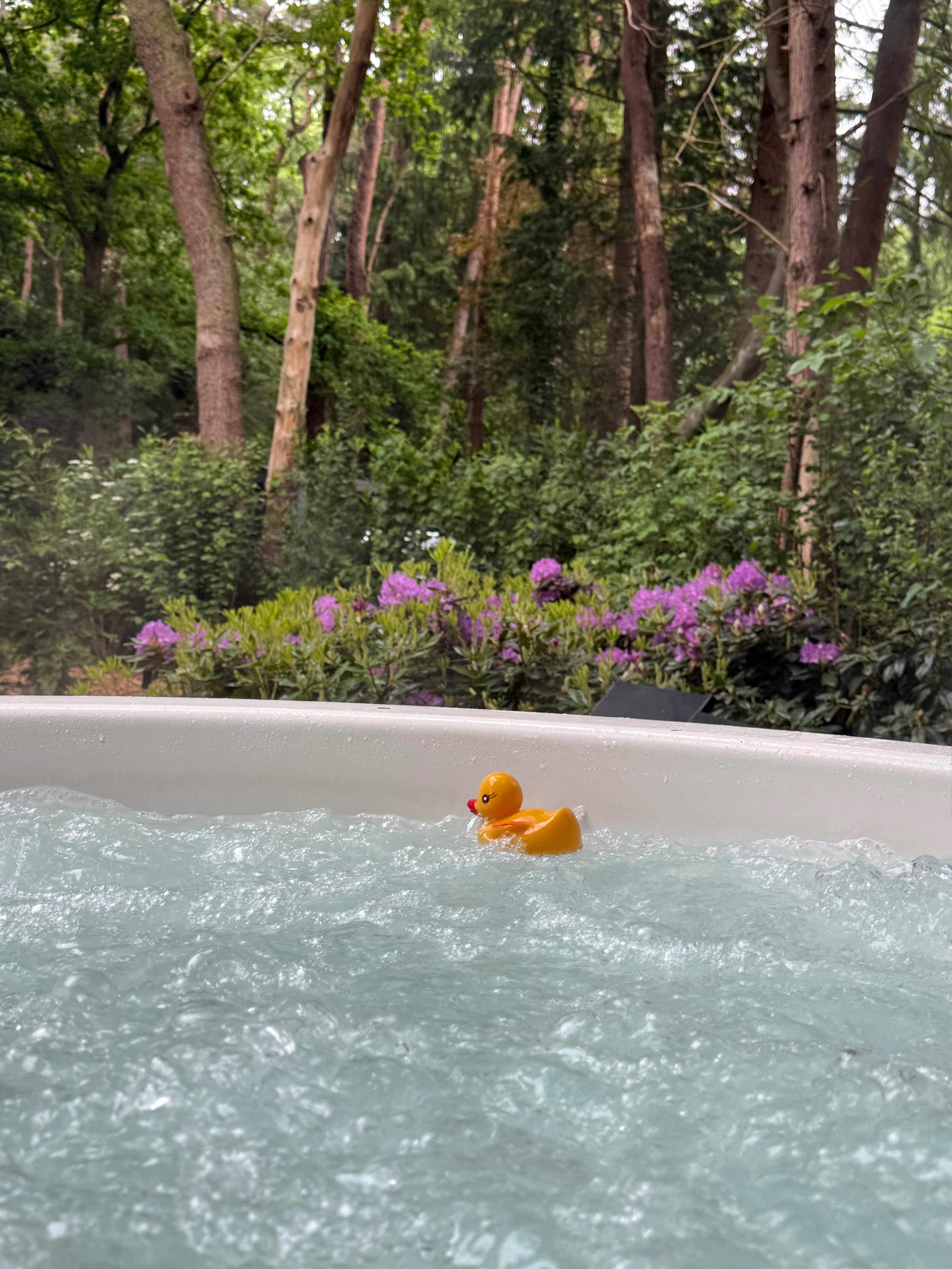 Natuurhuisje in Norg