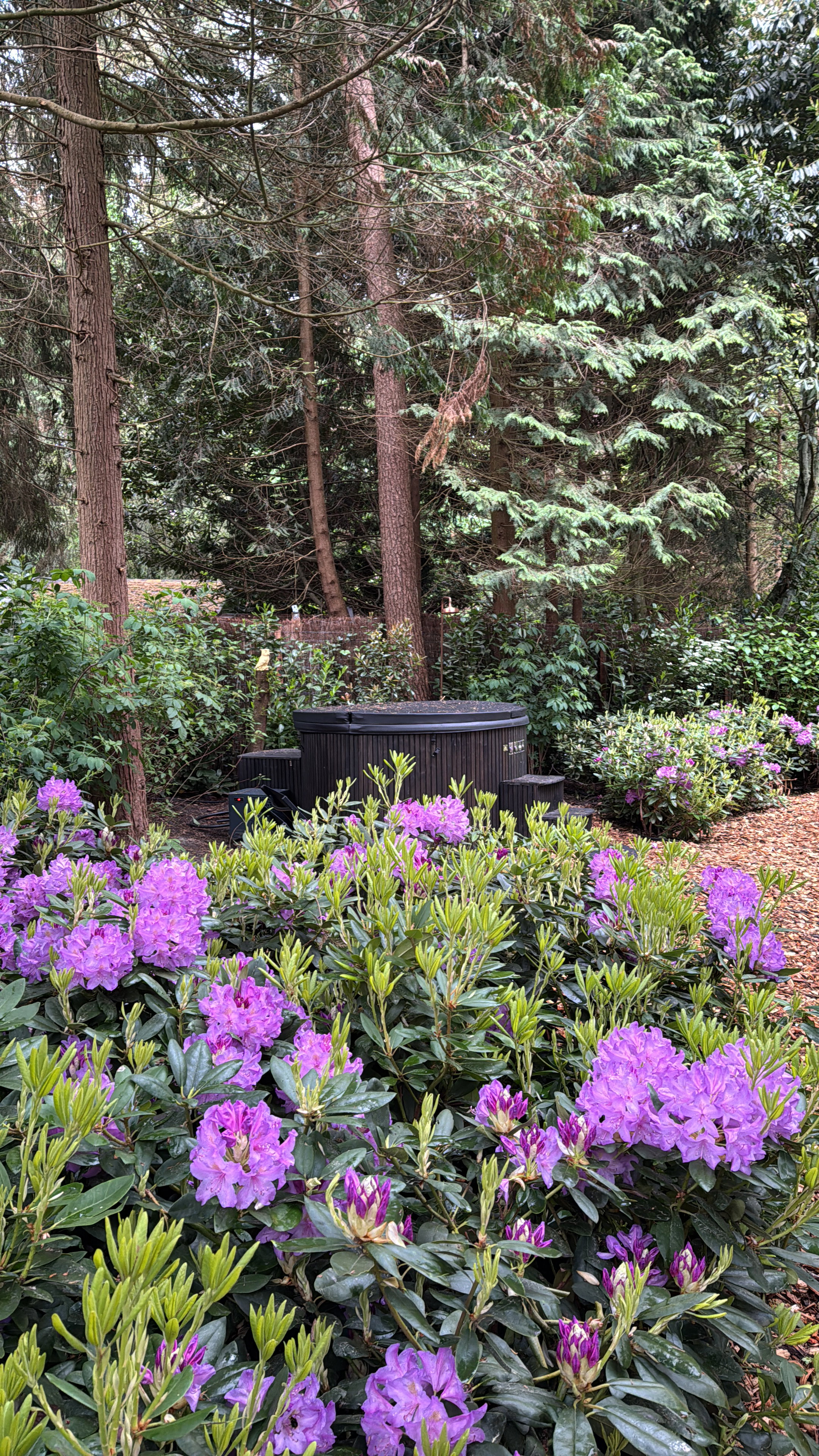 Natuurhuisje in Norg