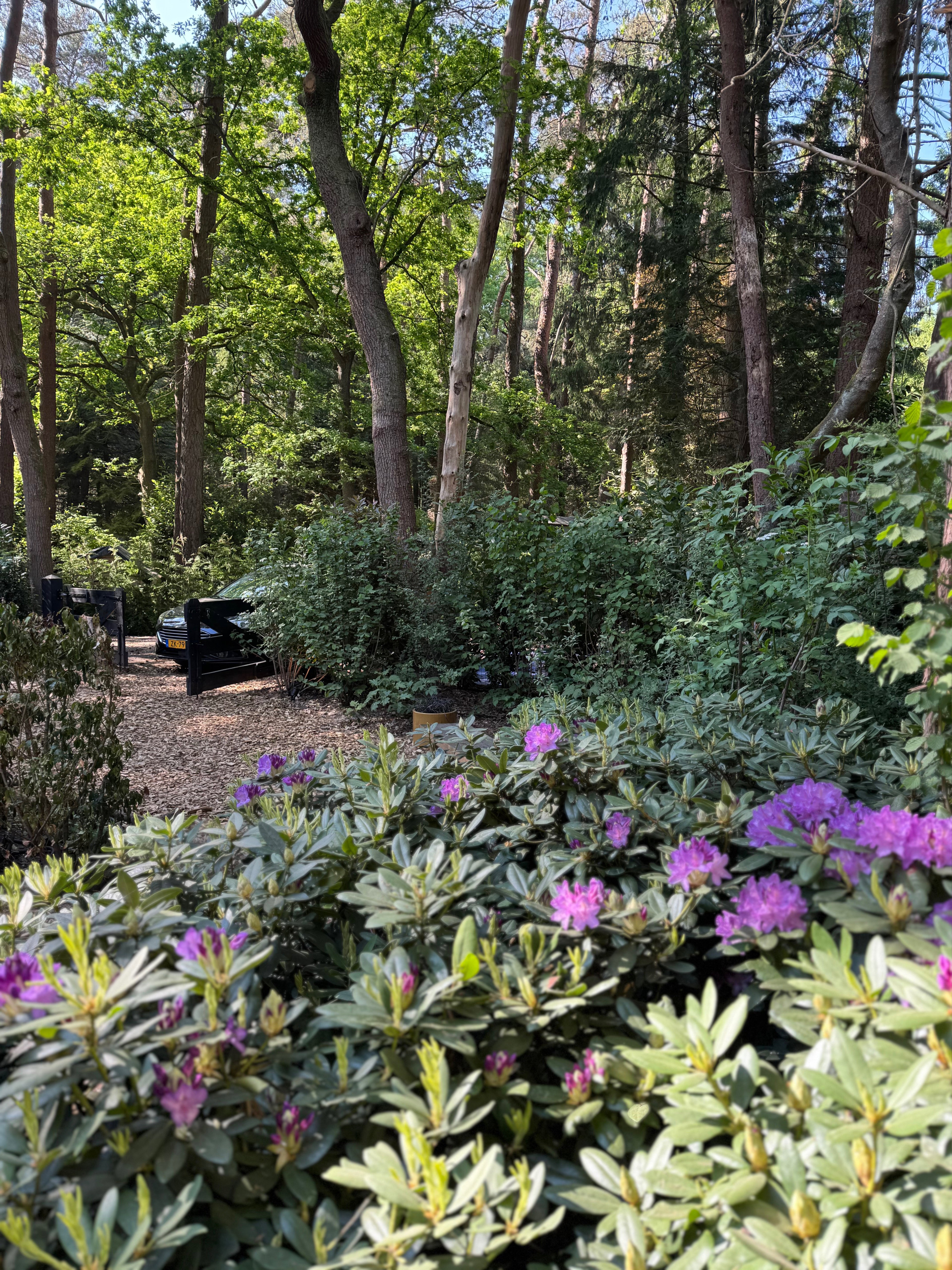 Natuurhuisje in Norg