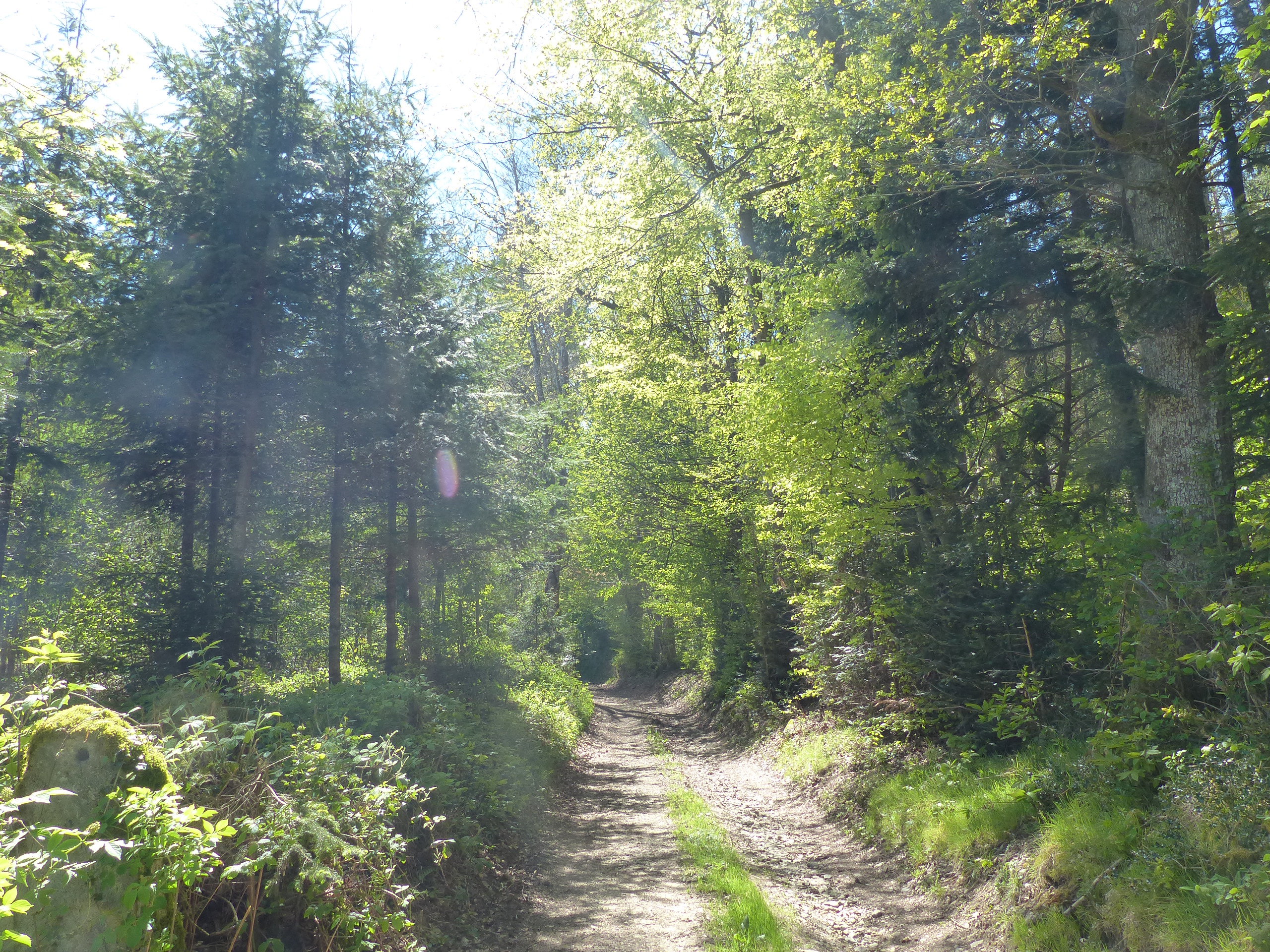- image: 23