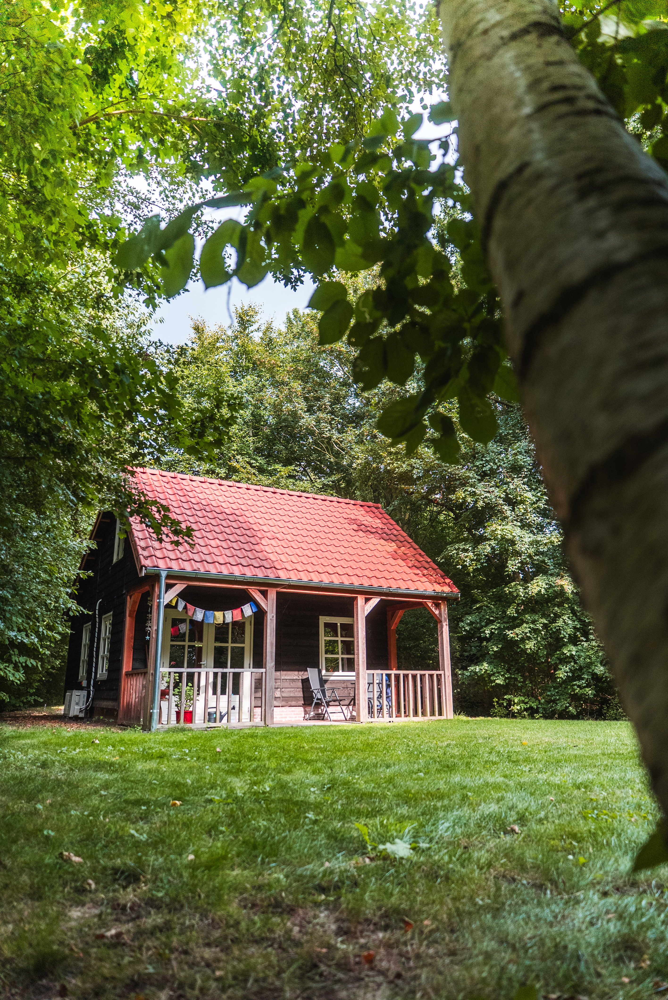 Natuurhuisje in Noordlaren