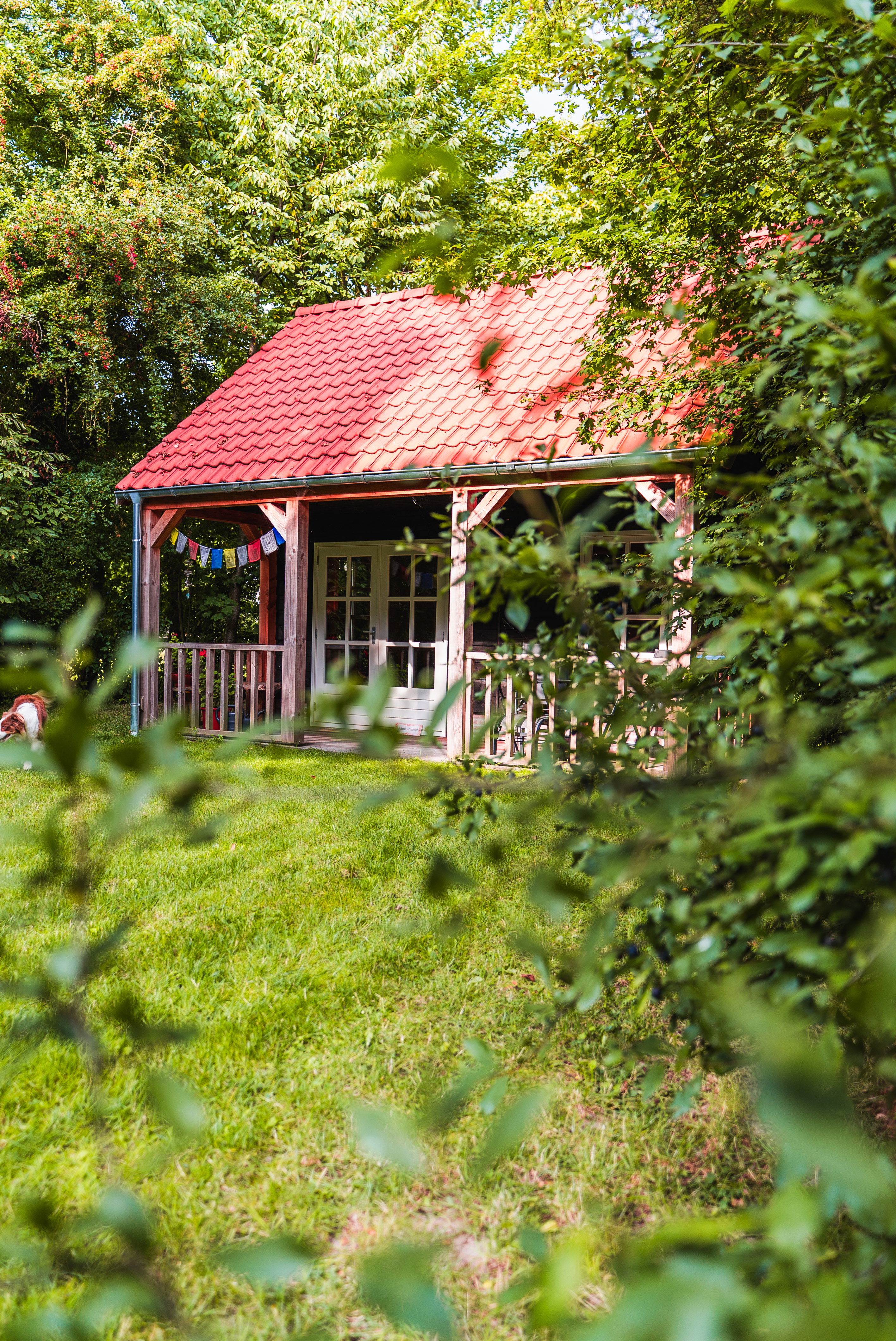 Natuurhuisje in Noordlaren