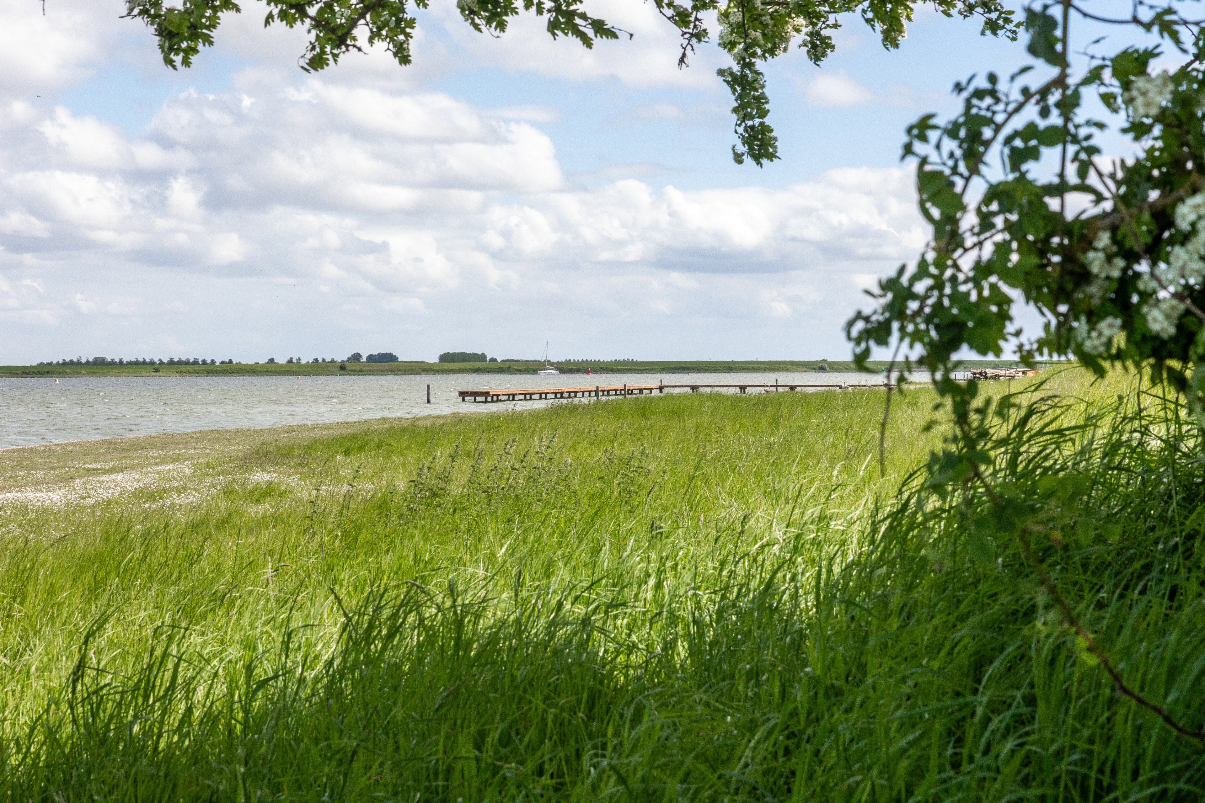 Natuurhuisje in Wolphaartsdijk