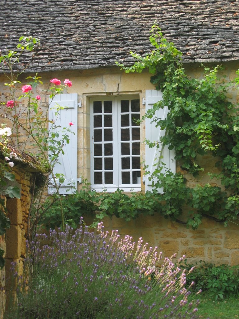 - image: 26