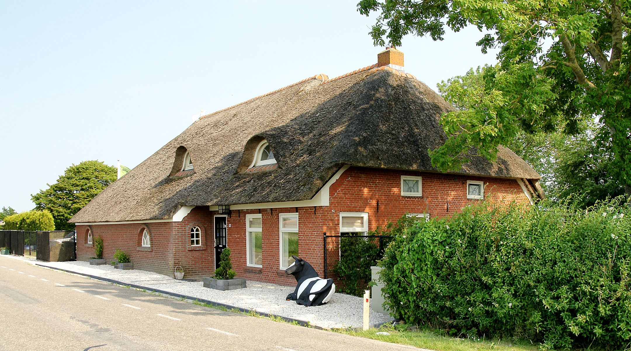 - image: 20