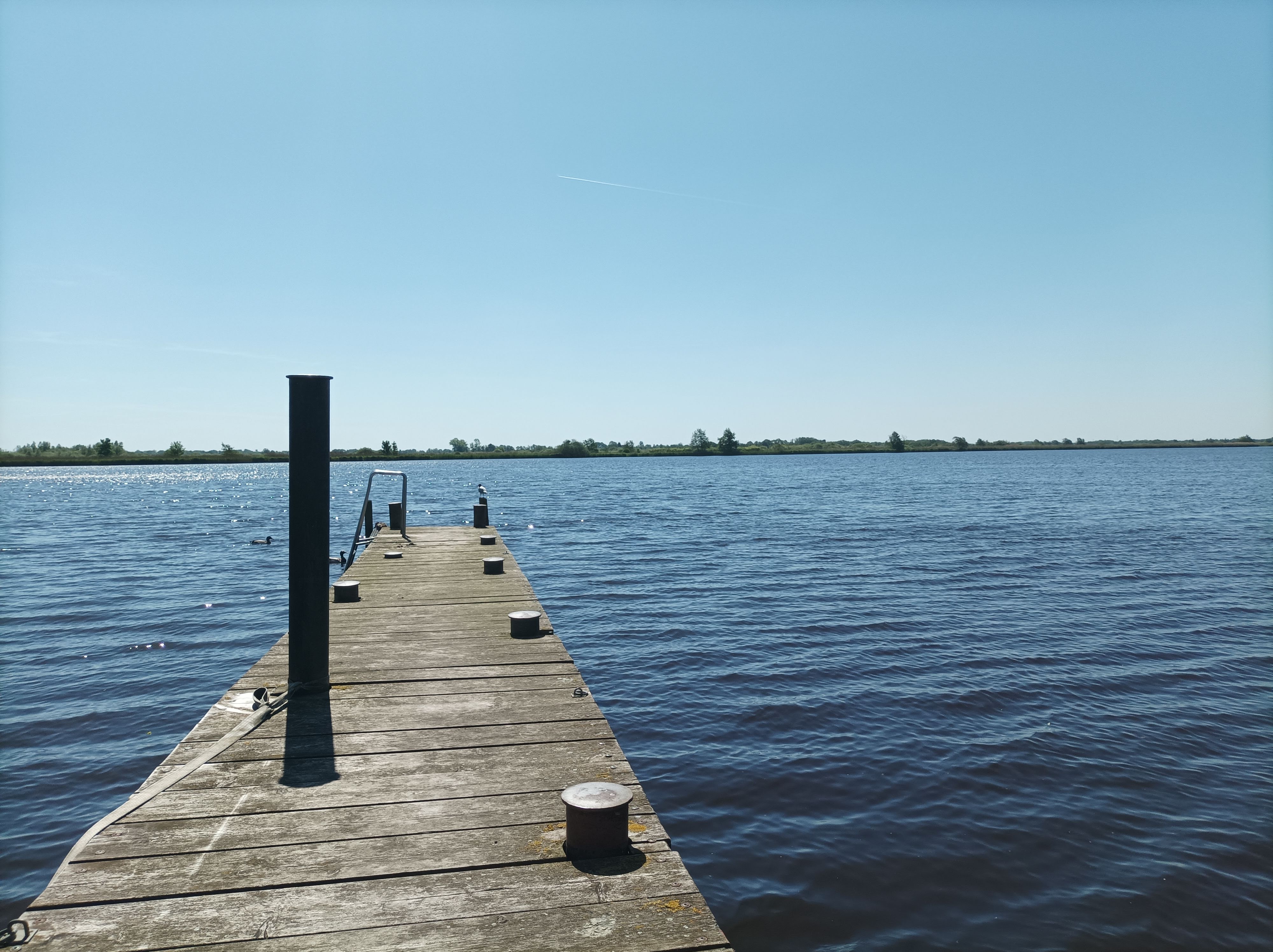 - image: 17