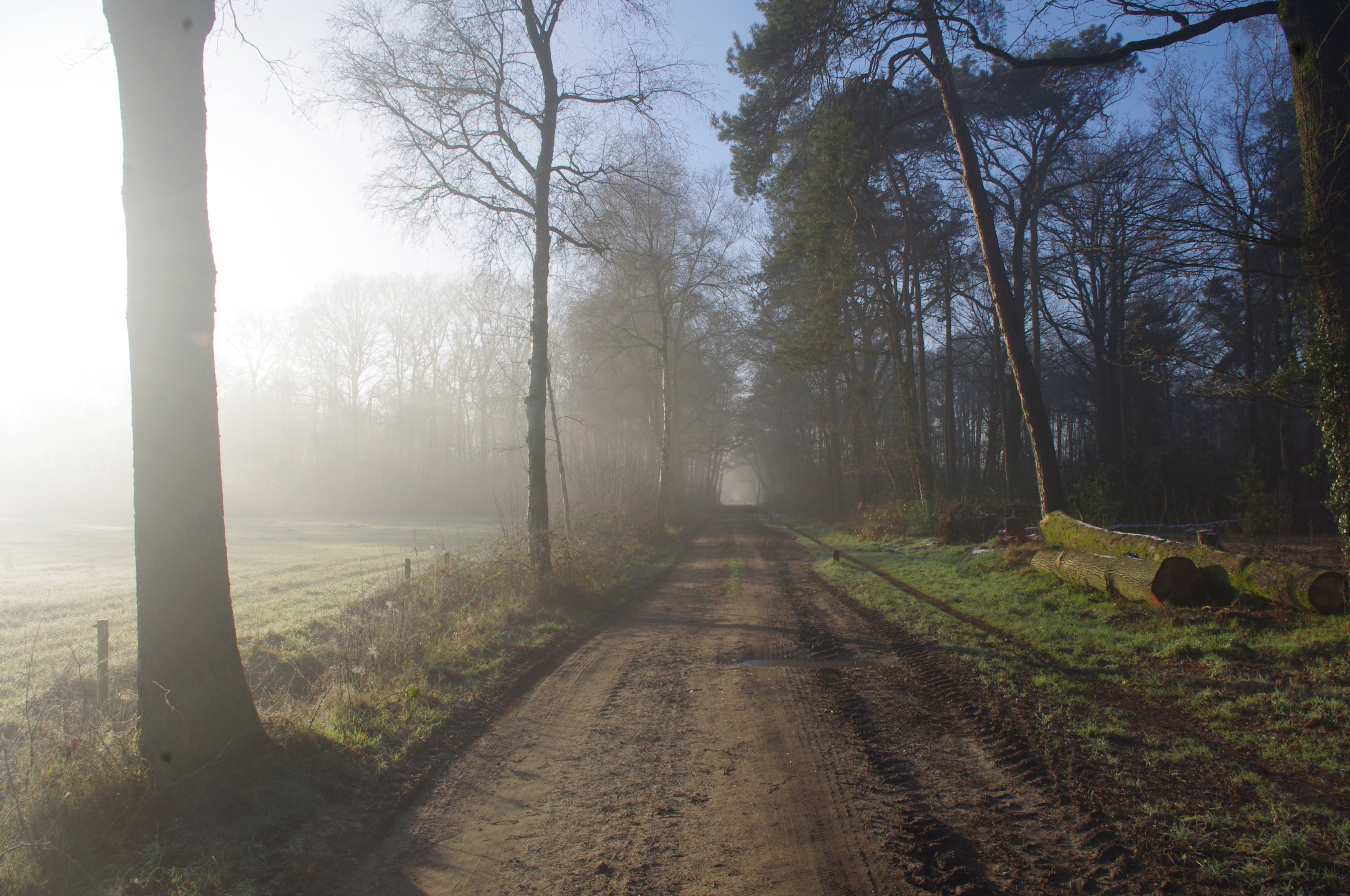 Natuurhuisje in Rietmolen
