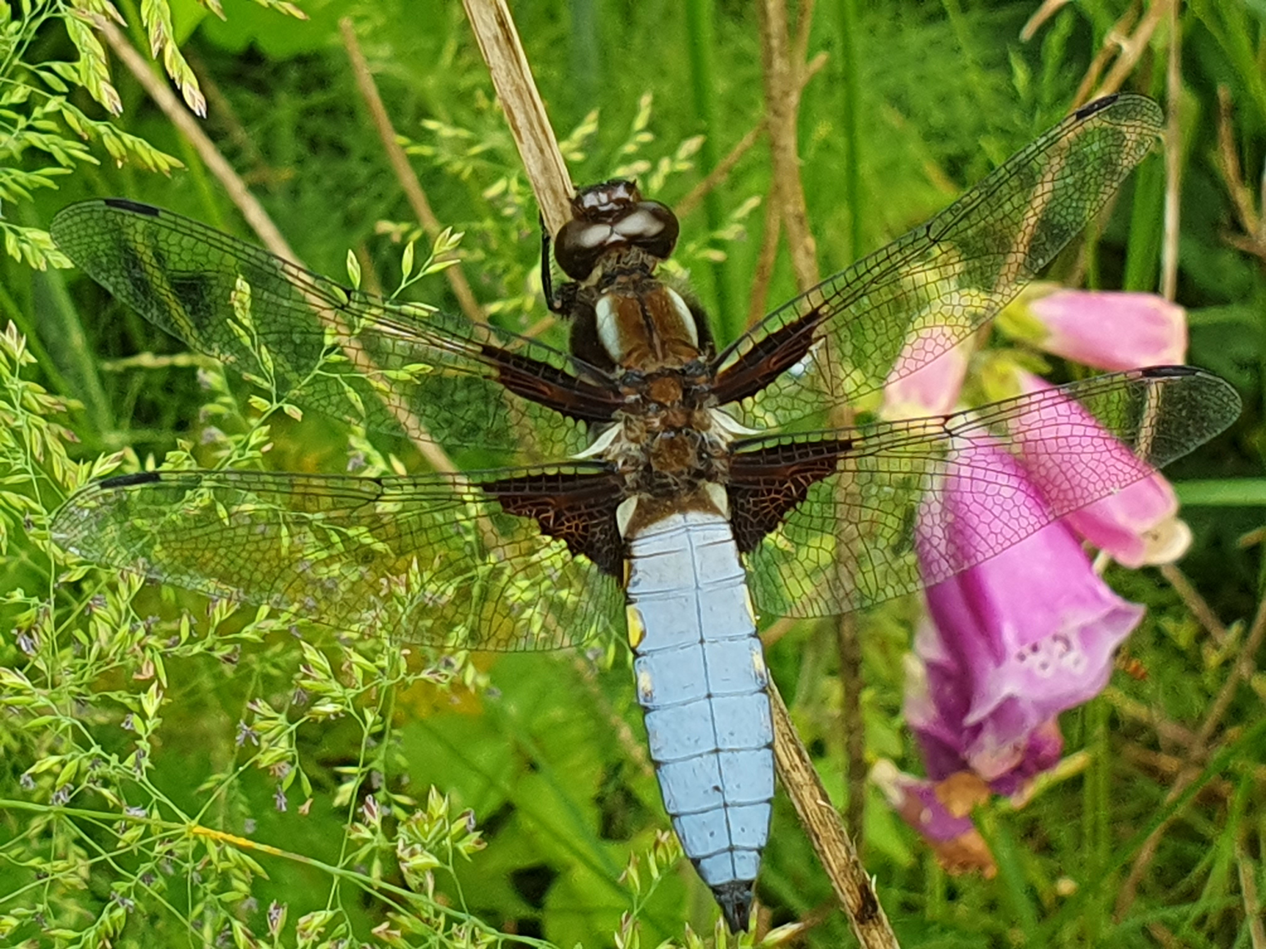 Natuurhuisje in Rietmolen