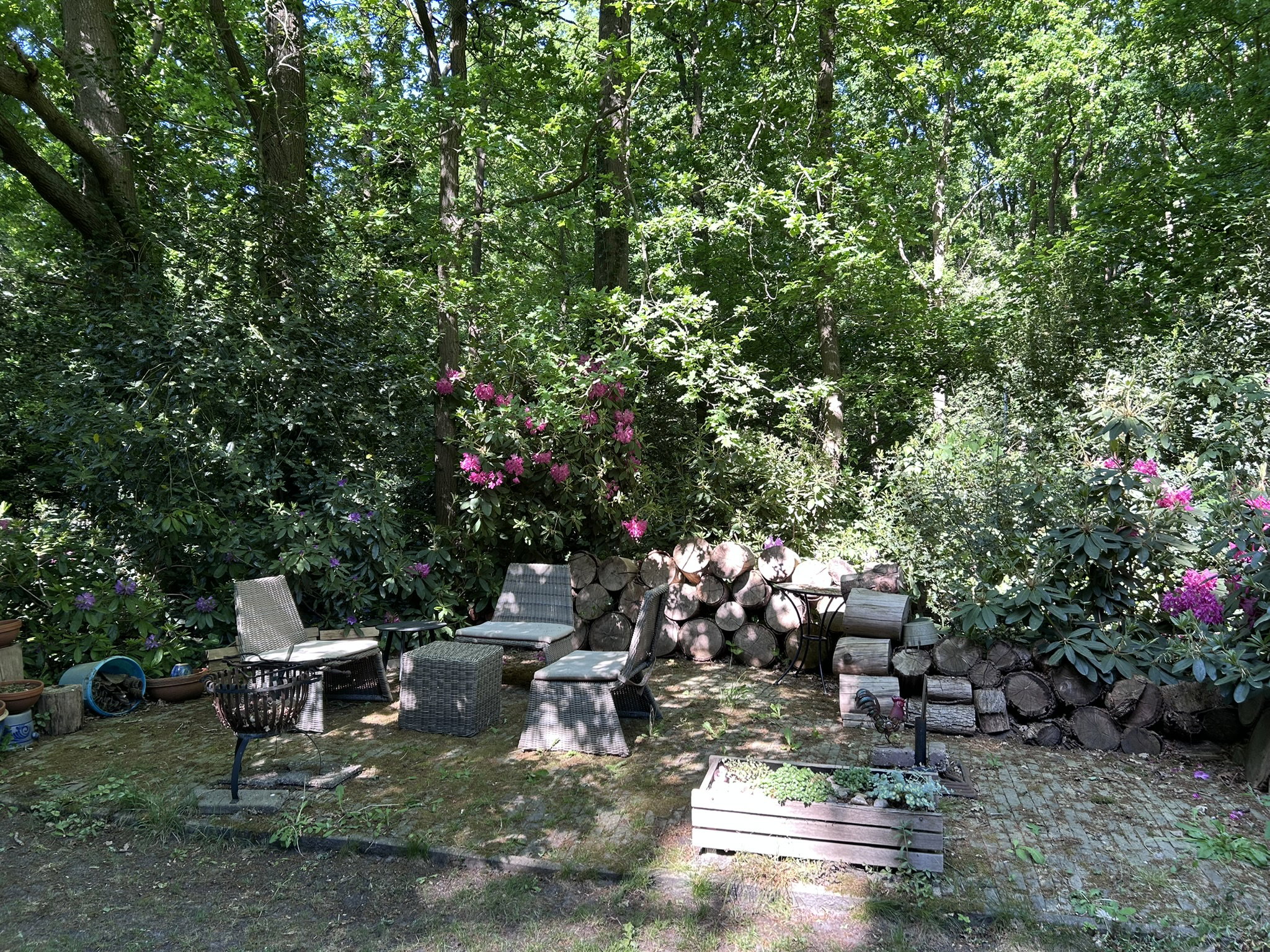 Casa nella natura a Hoogerheide