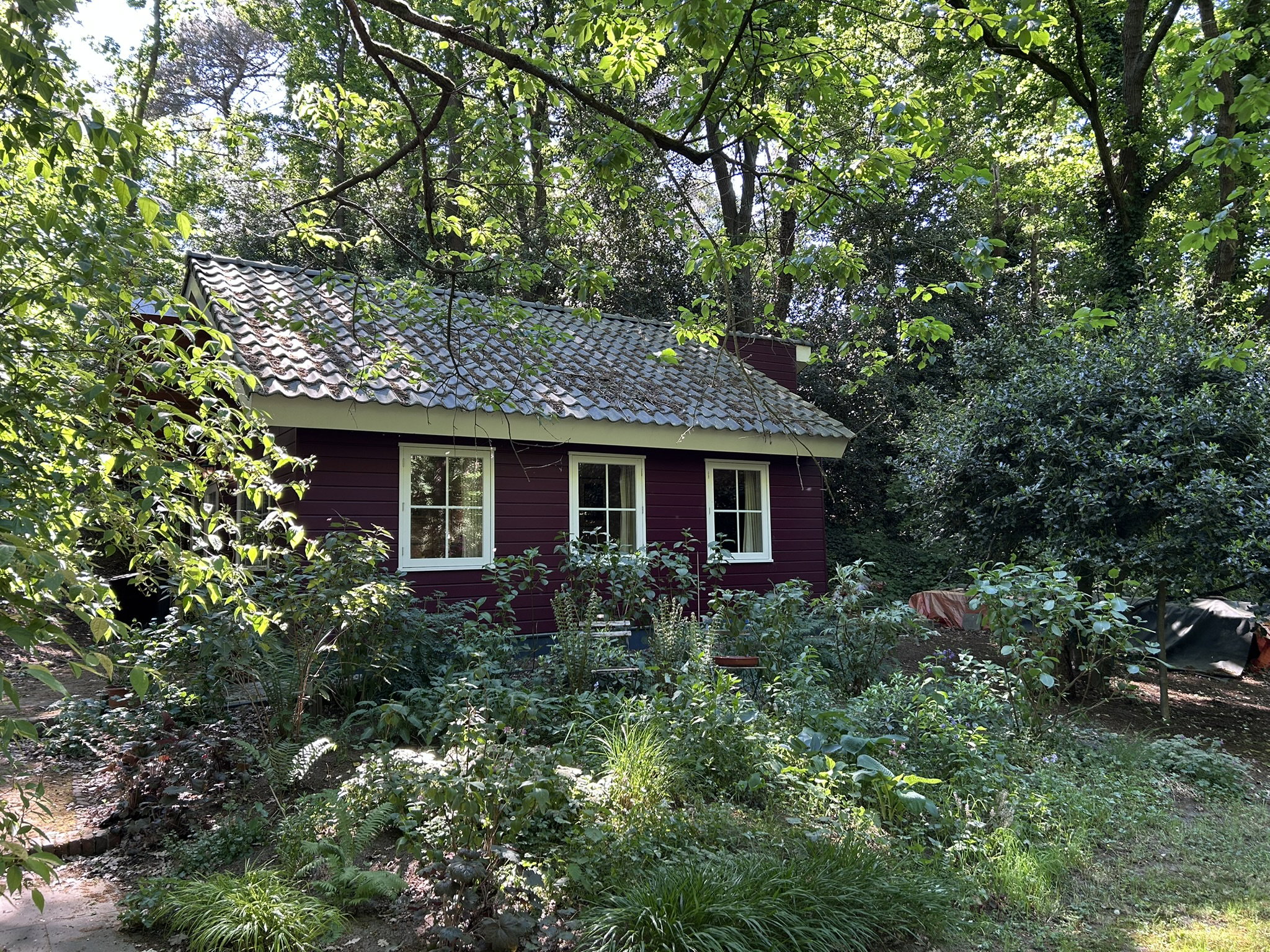 Casa nella natura a Hoogerheide