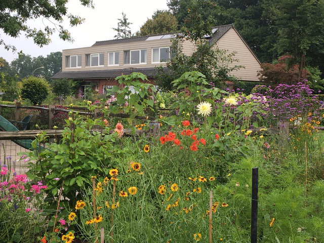 Nature house in Rijkevorsel