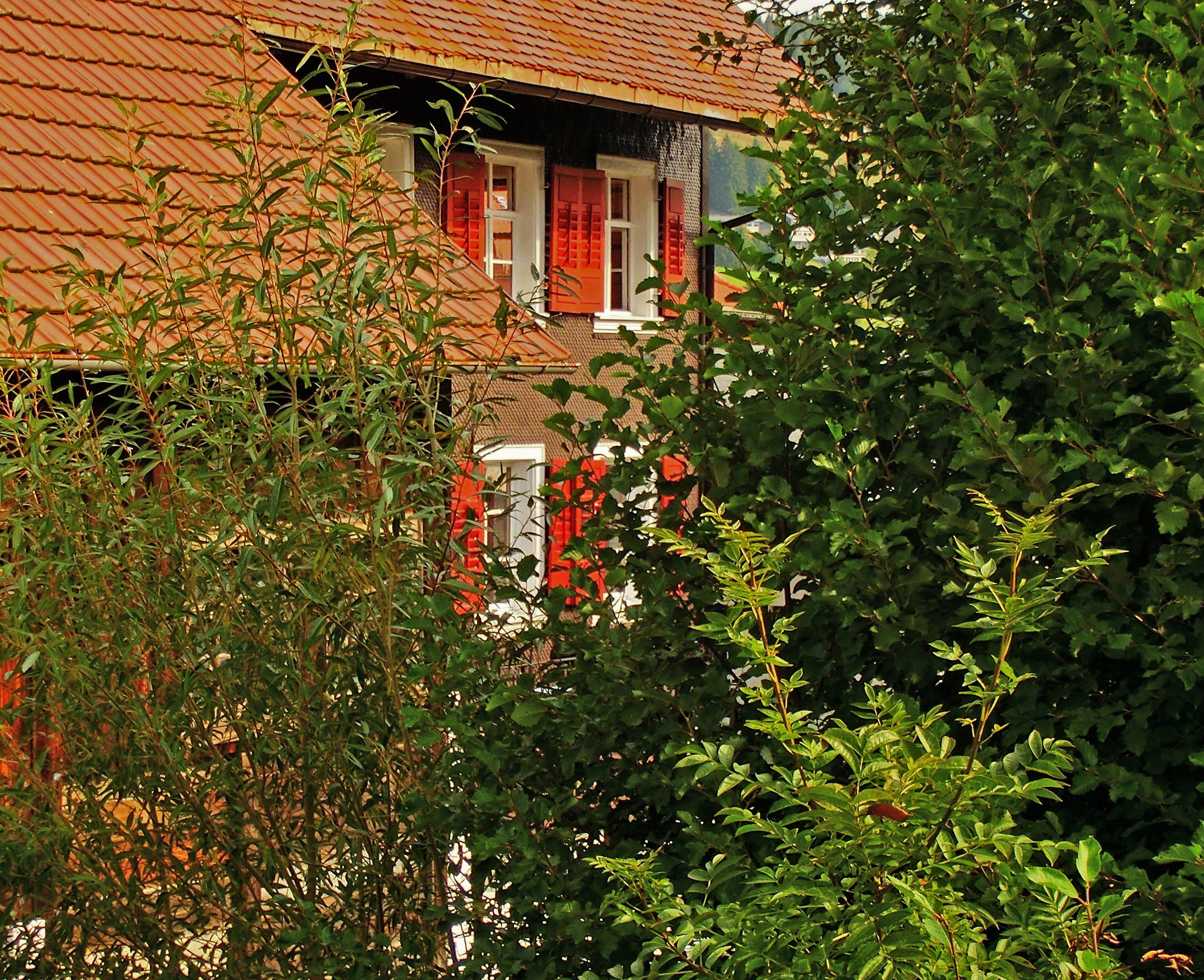 Casa nella natura a Bernau im Schwarzwald
