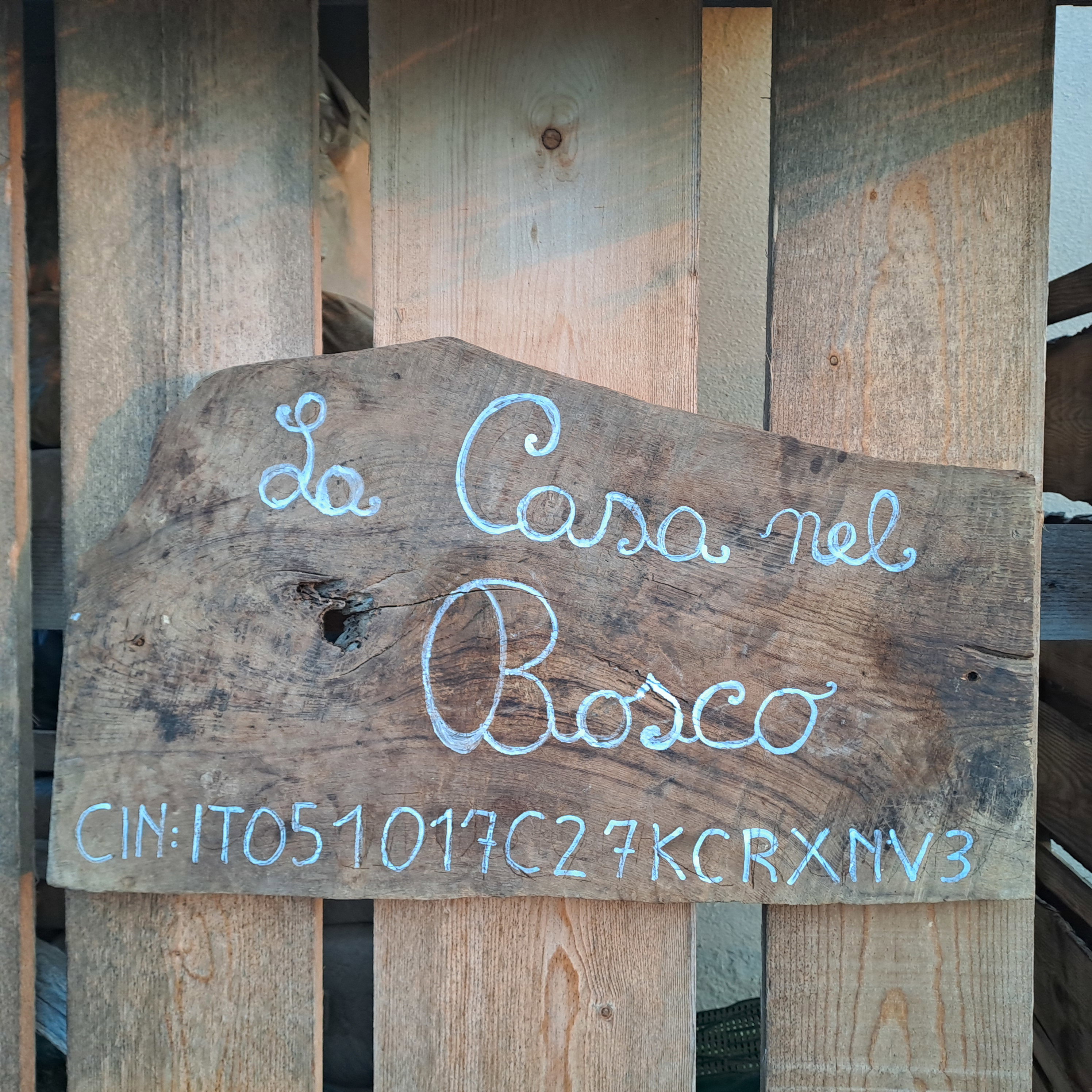 - image: 12