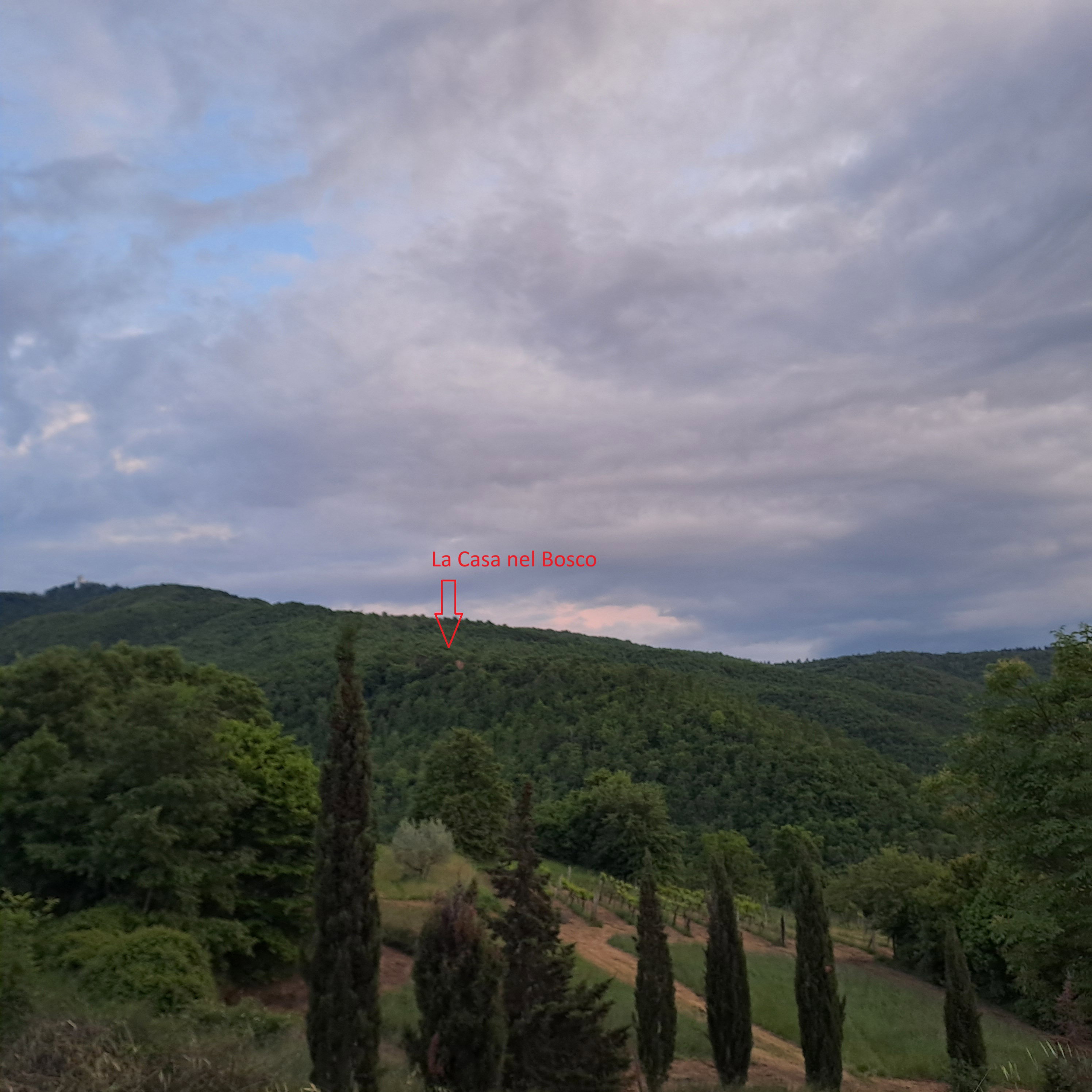 Casa nella natura a Cortona
