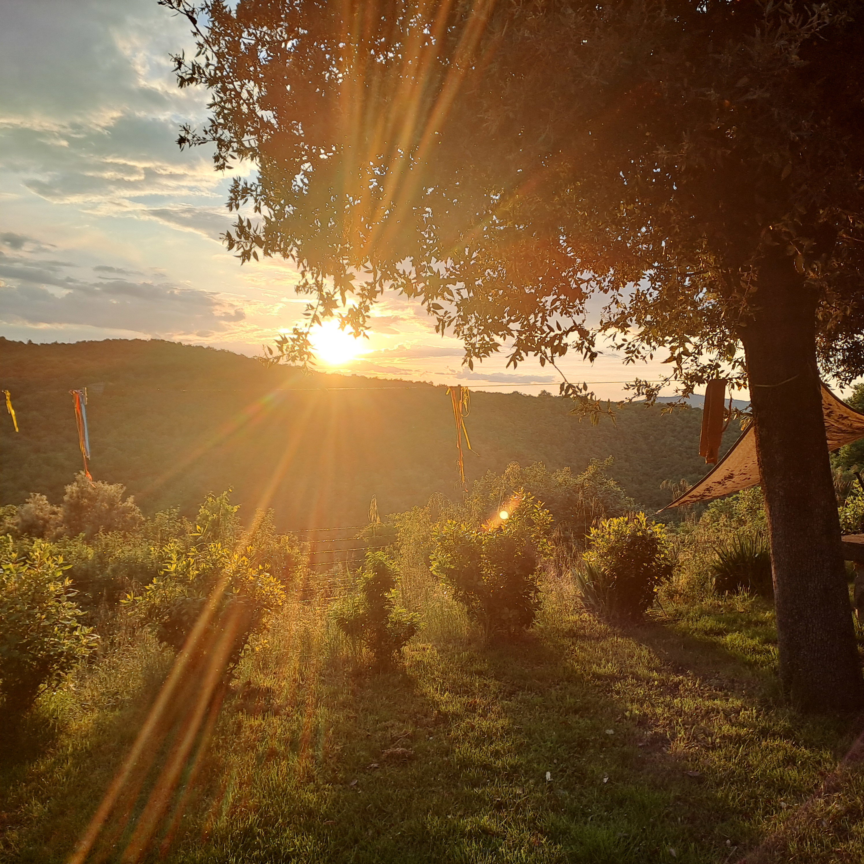 Casa nella natura a Cortona