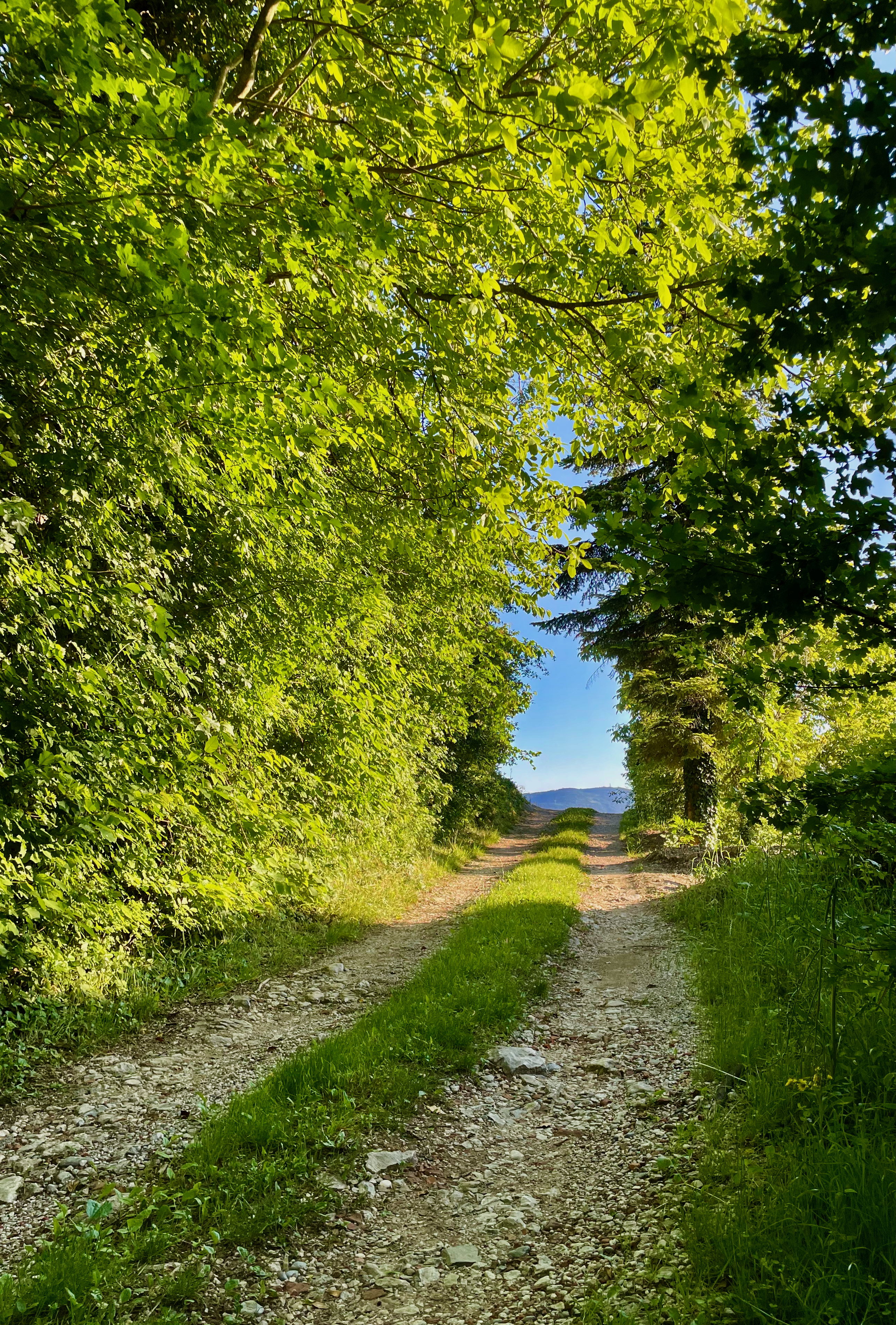 Natuurhuisje in Sempas