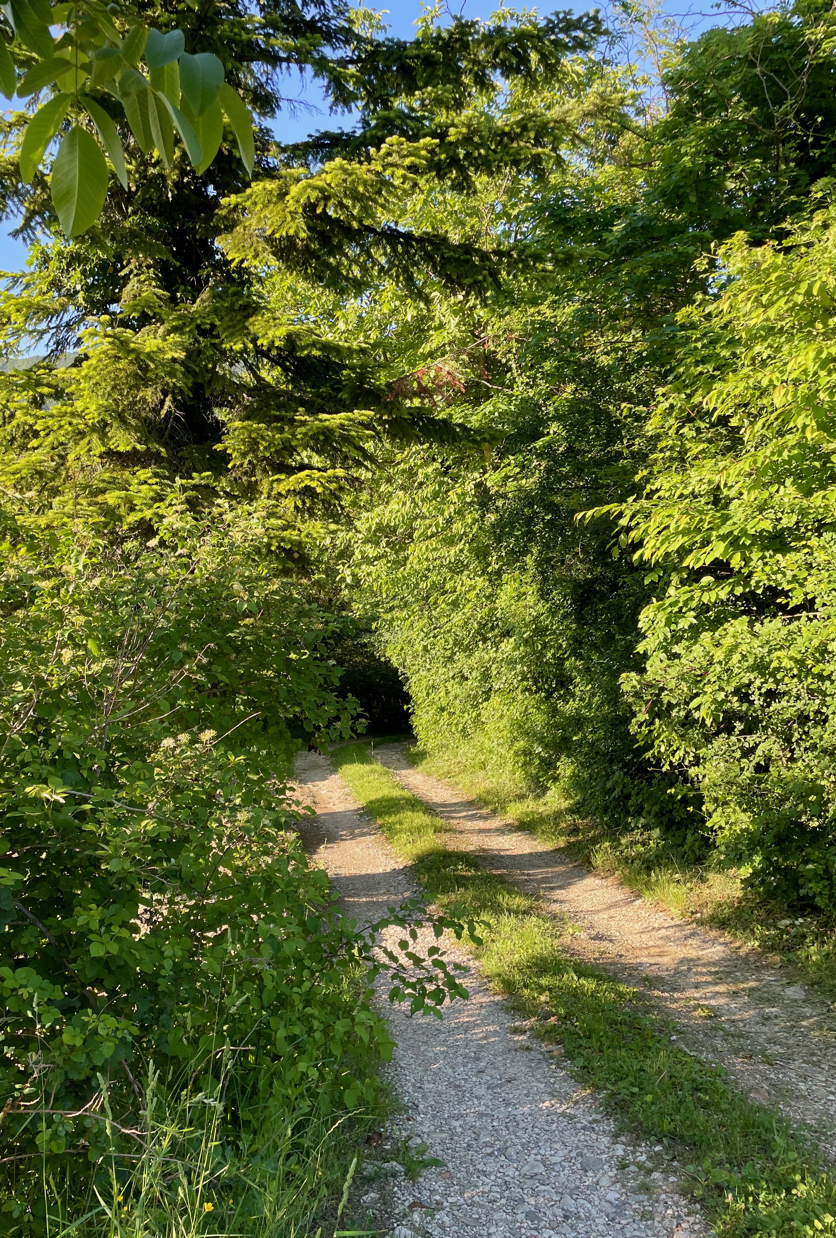 Natuurhuisje in Sempas