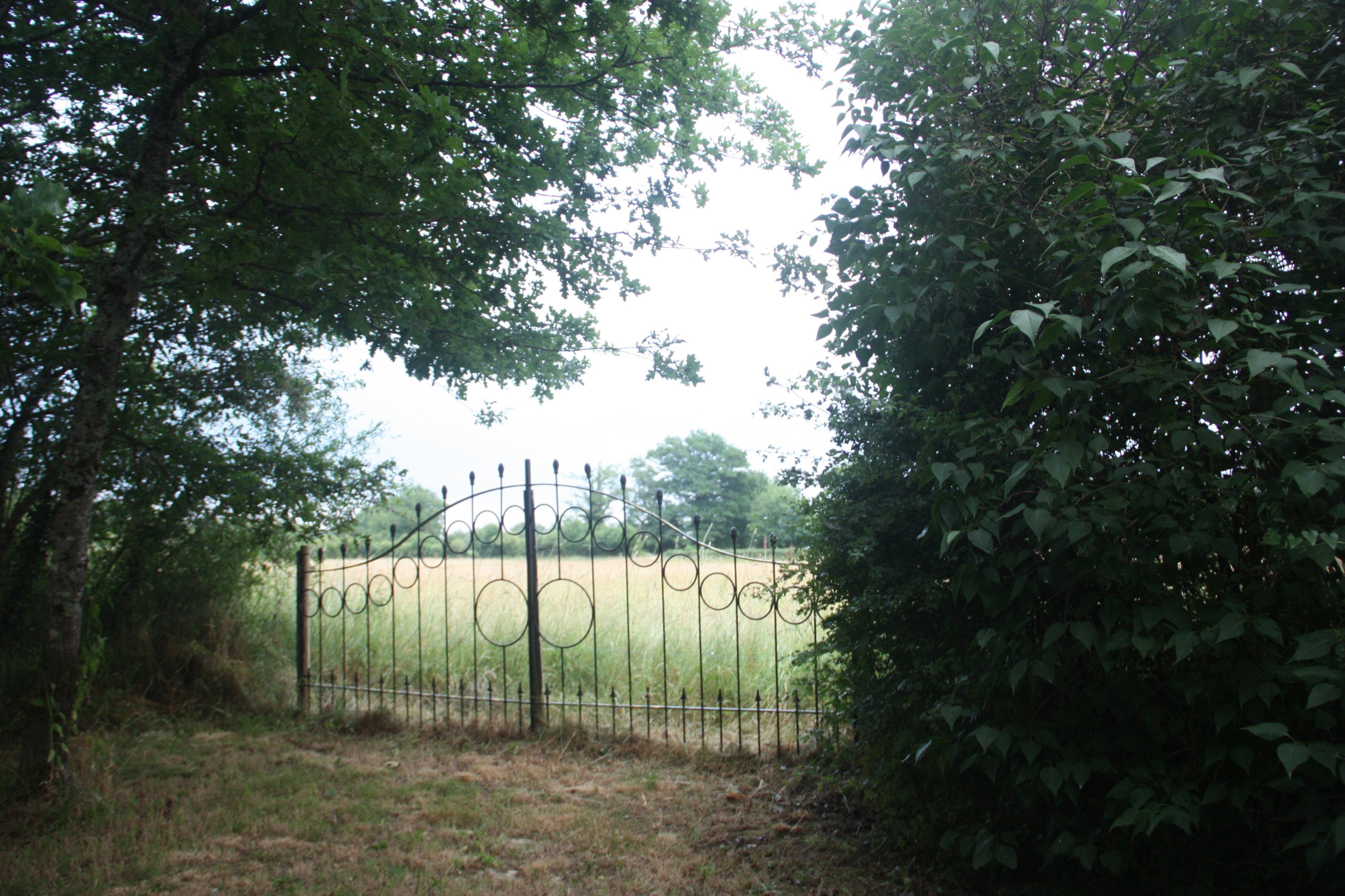 - image: 11
